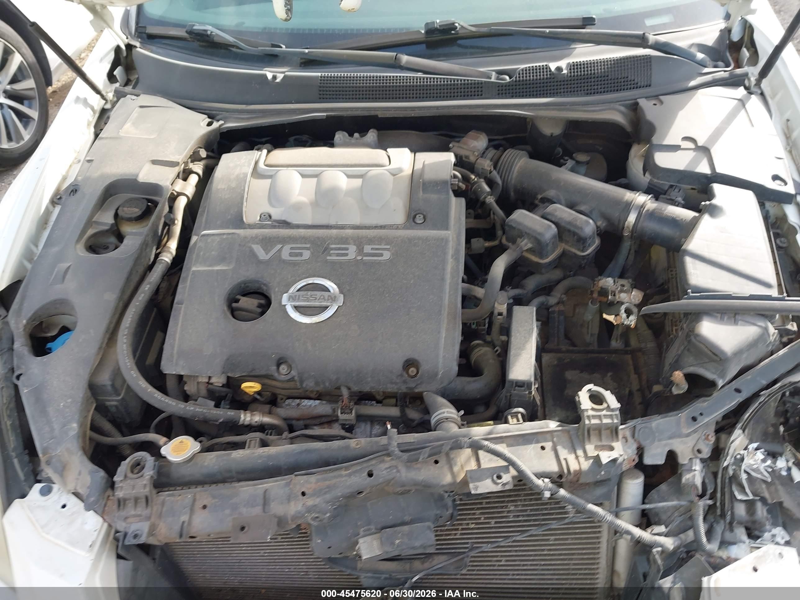 2008 Nissan Maxima 3.5 Se White vin: 1N4BA41E88C821788