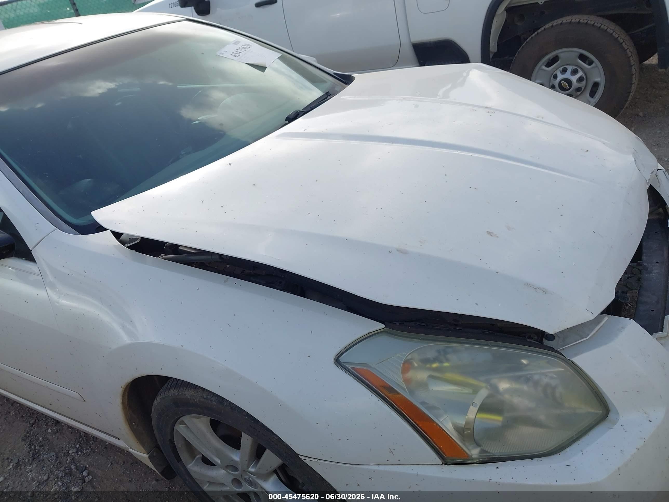 2008 Nissan Maxima 3.5 Se White vin: 1N4BA41E88C821788