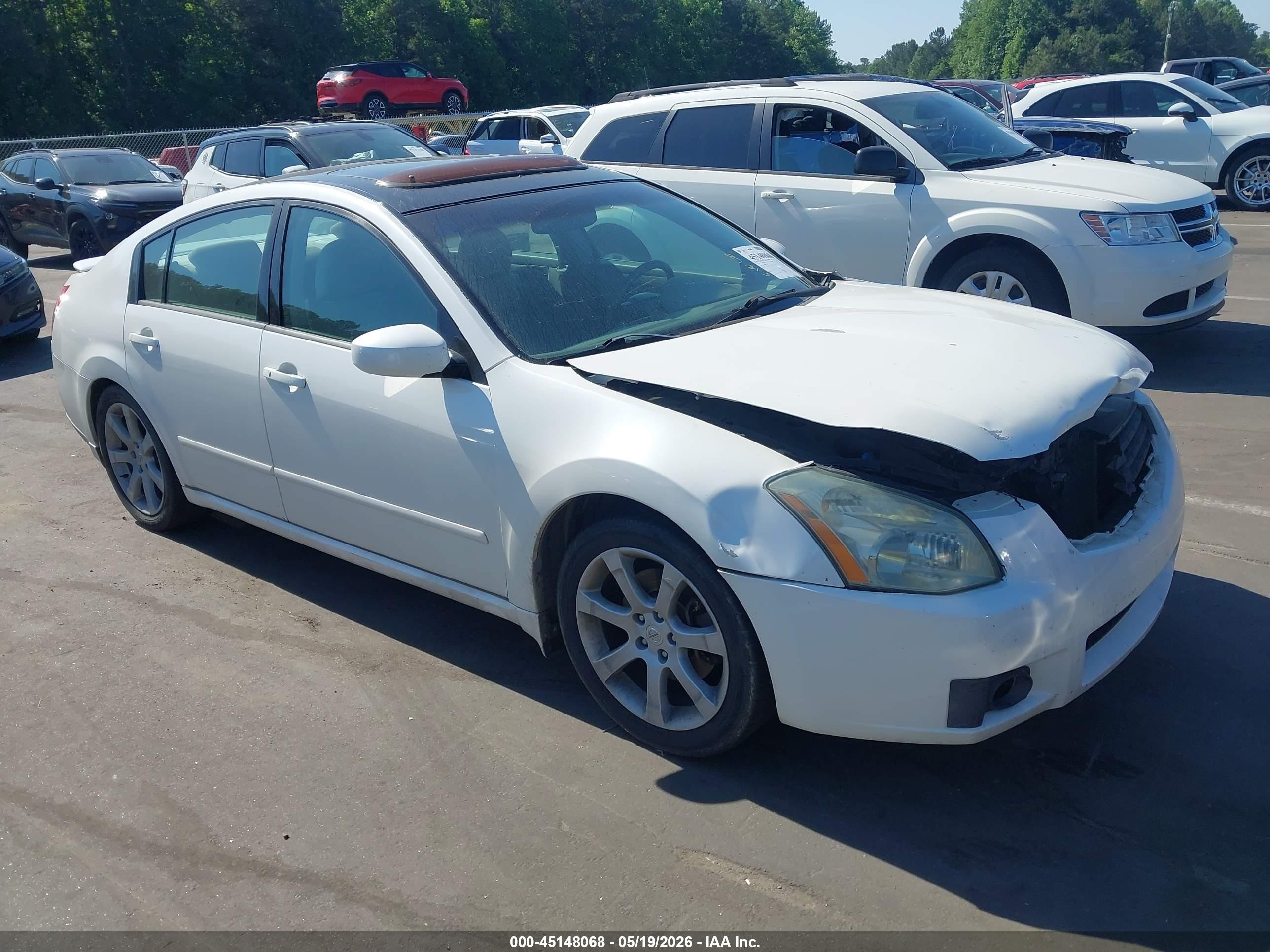 2008 Nissan Maxima 3.5 Se Белый vin: 1N4BA41E88C827302