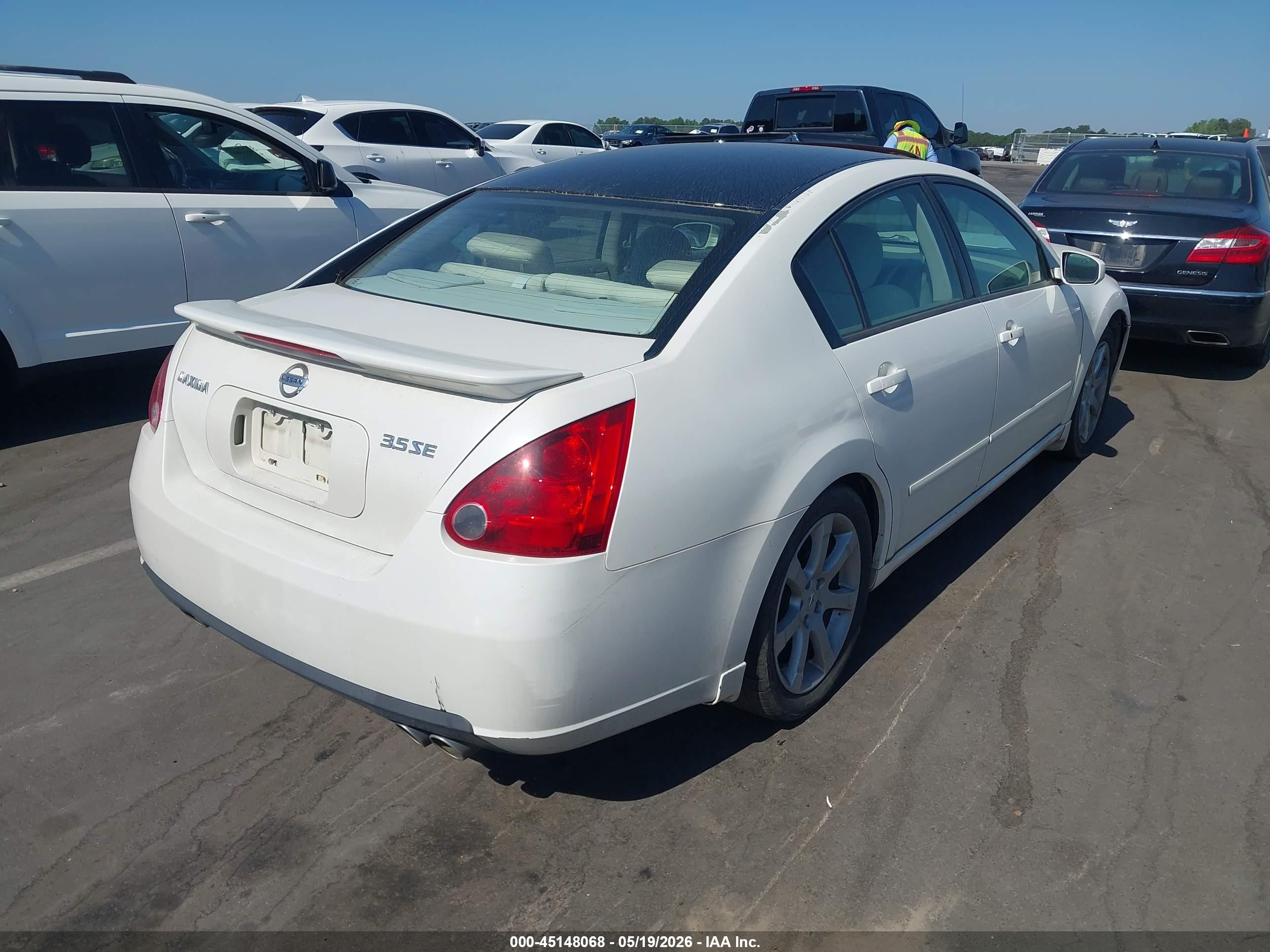 2008 Nissan Maxima 3.5 Se Белый vin: 1N4BA41E88C827302