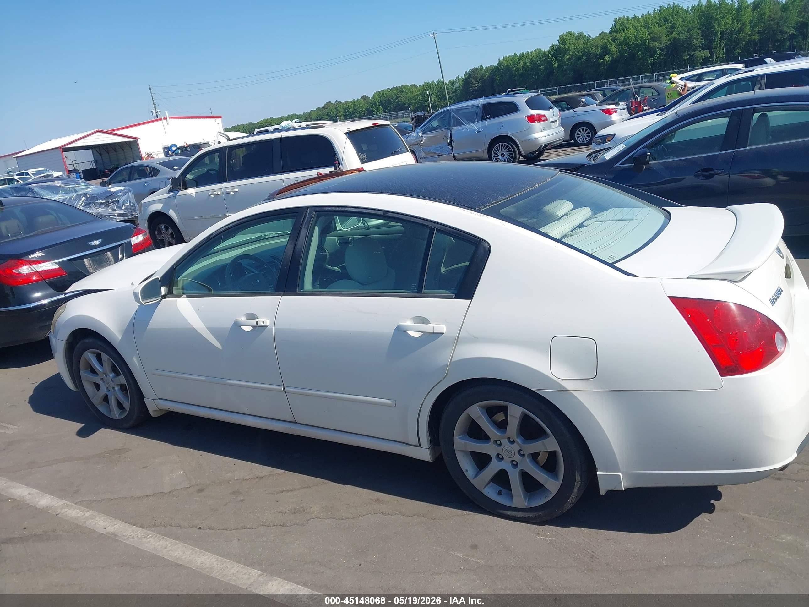 2008 Nissan Maxima 3.5 Se Белый vin: 1N4BA41E88C827302