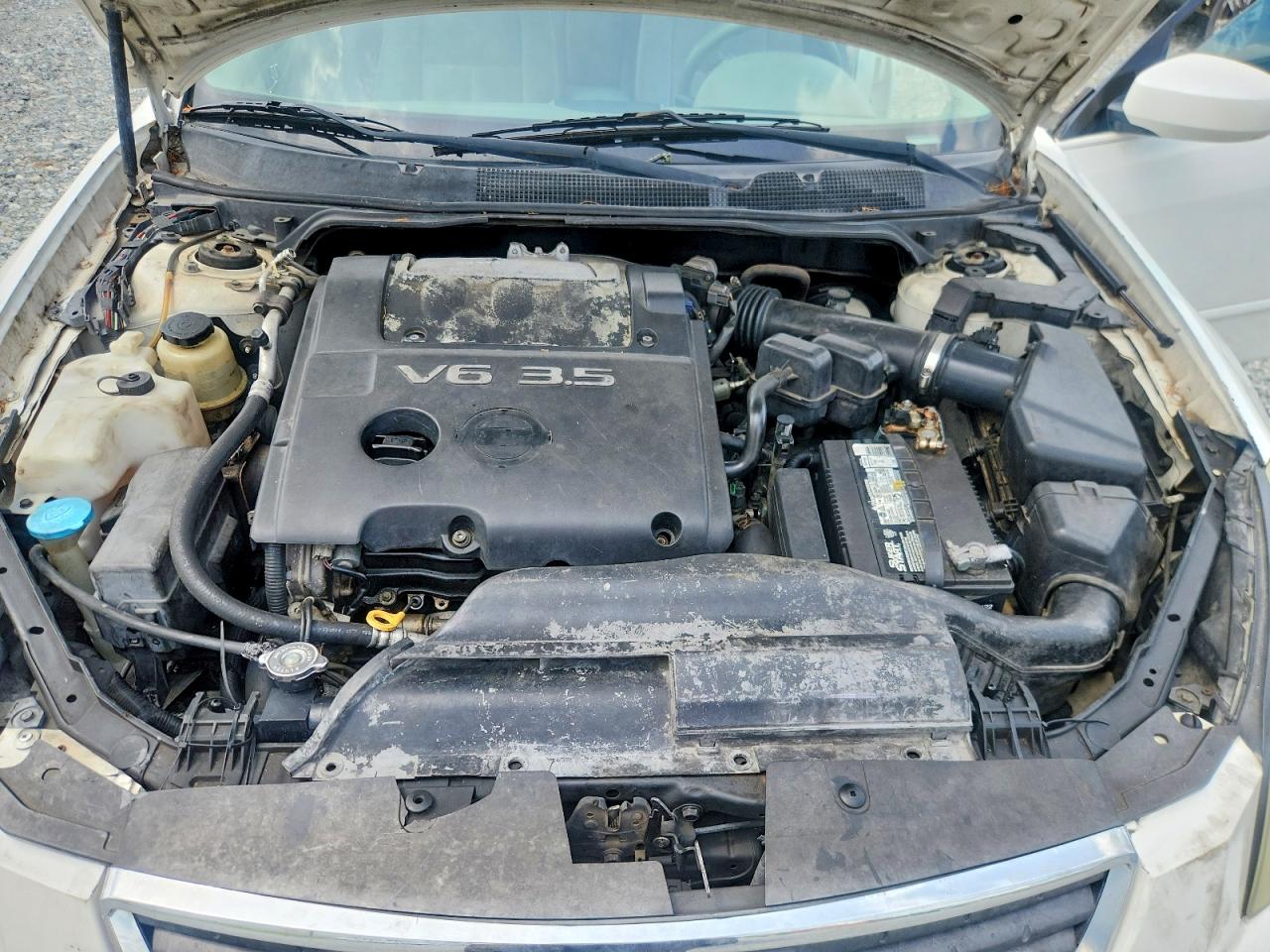 2008 Nissan Maxima 3.5 Se White vin: 1N4BA41E88C833746