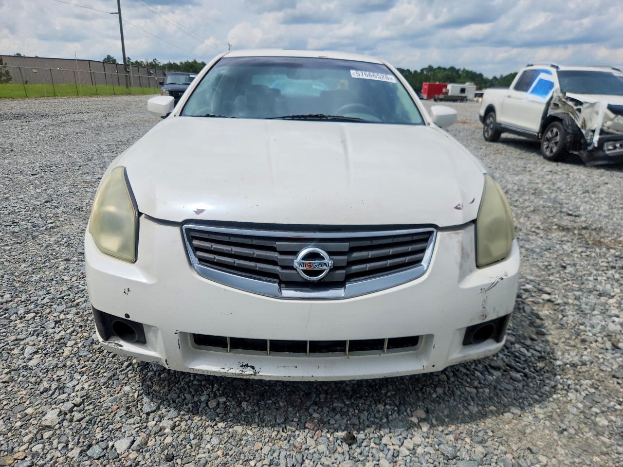 2008 Nissan Maxima 3.5 Se White vin: 1N4BA41E88C833746