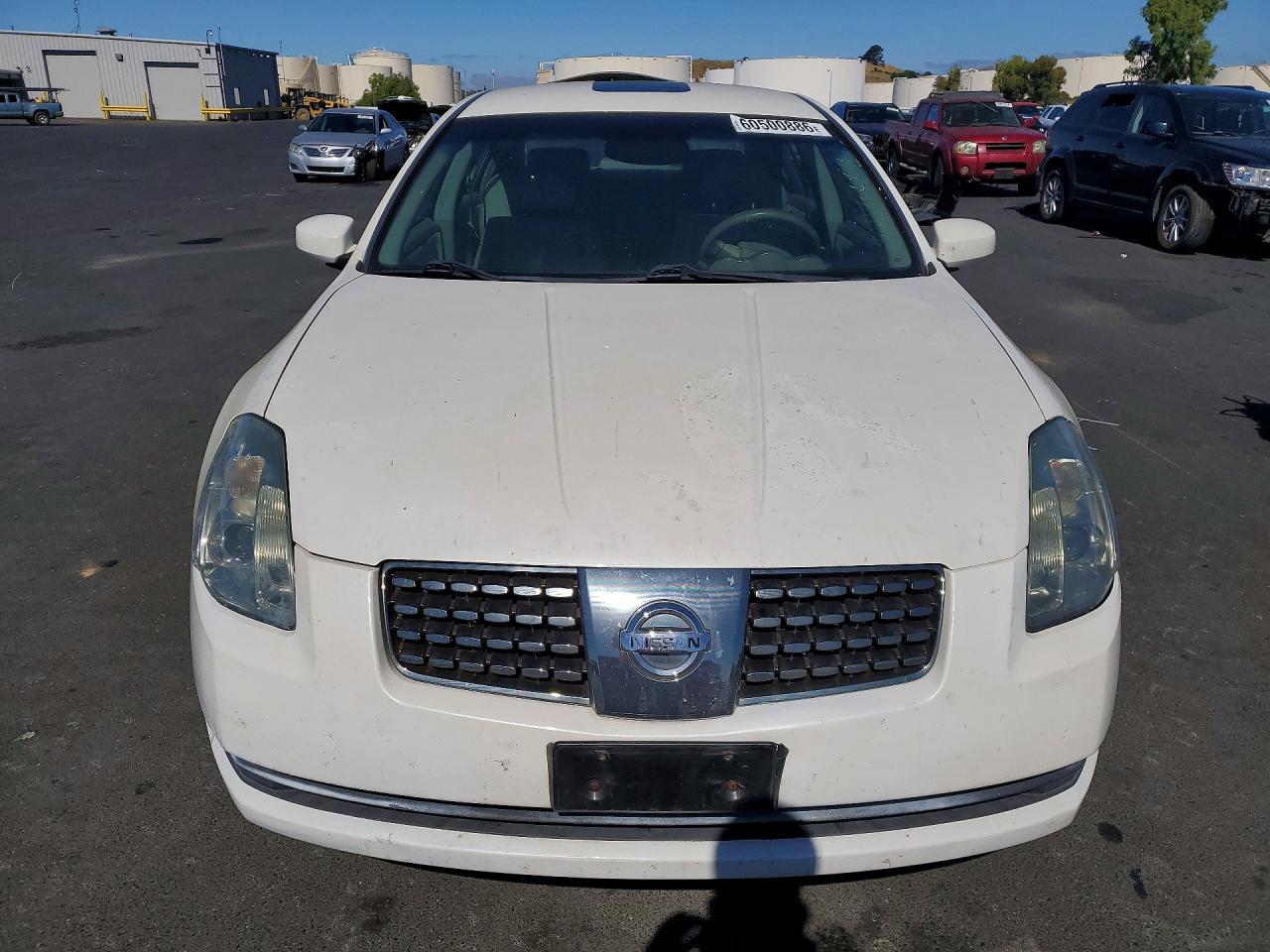 2004 Nissan Maxima 3.5 Se White vin: 1N4BA41E94C833054