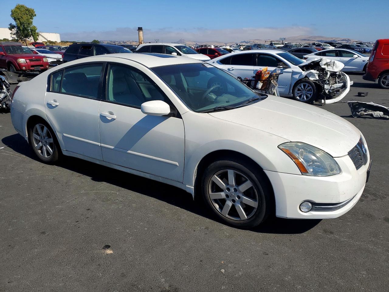 2004 Nissan Maxima 3.5 Se White vin: 1N4BA41E94C833054