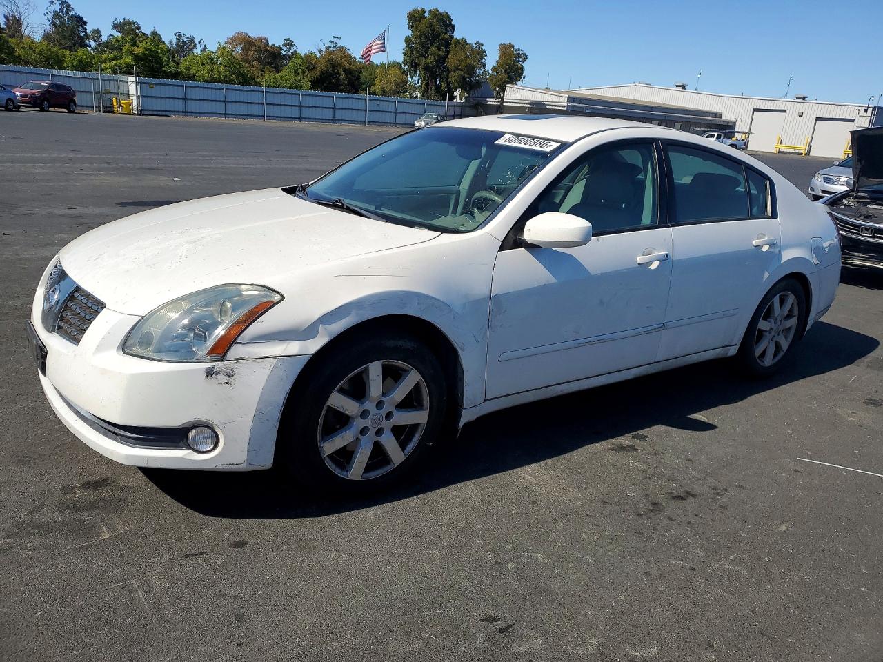 2004 Nissan Maxima 3.5 Se White vin: 1N4BA41E94C833054