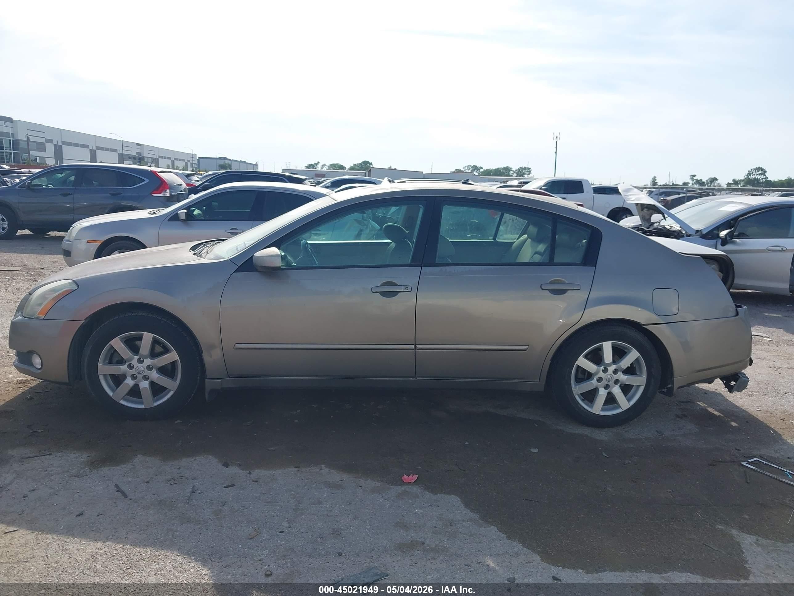 2004 Nissan Maxima 3.5 Sl Gold vin: 1N4BA41E94C862909