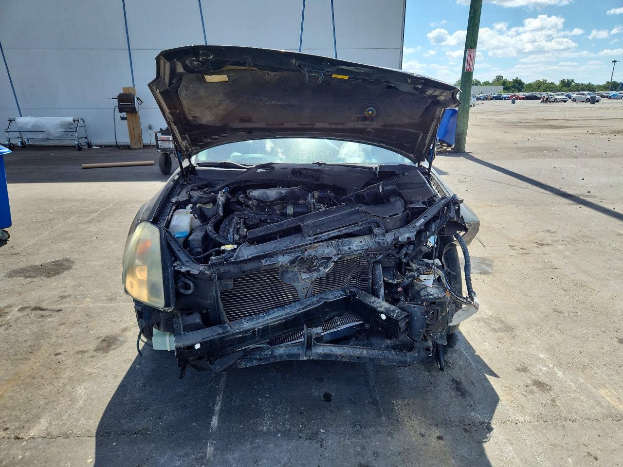 2004 Nissan Maxima Black vin: 1N4BA41E94C882111