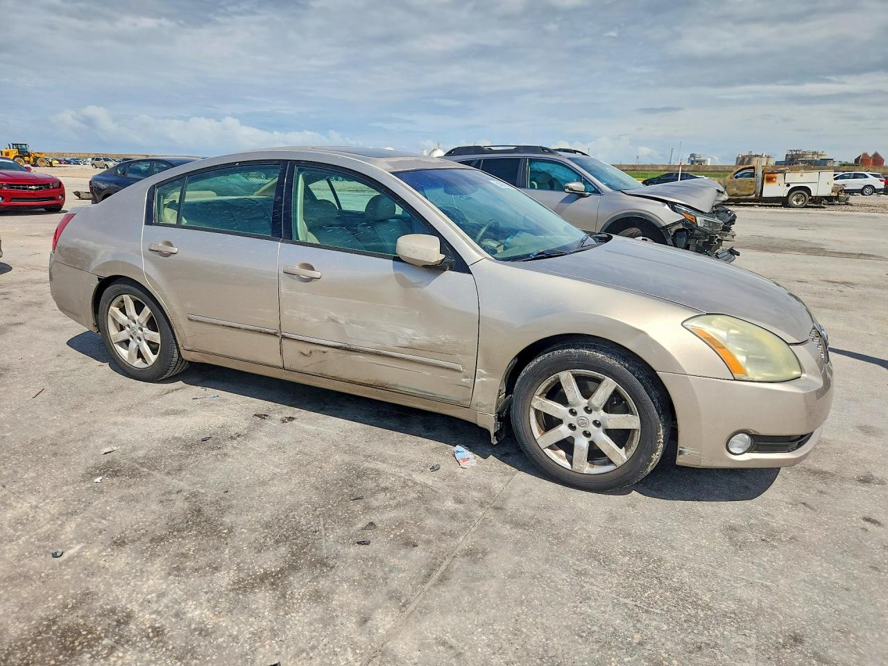 2005 Nissan Maxima 3.5 Se Tan vin: 1N4BA41E95C823903
