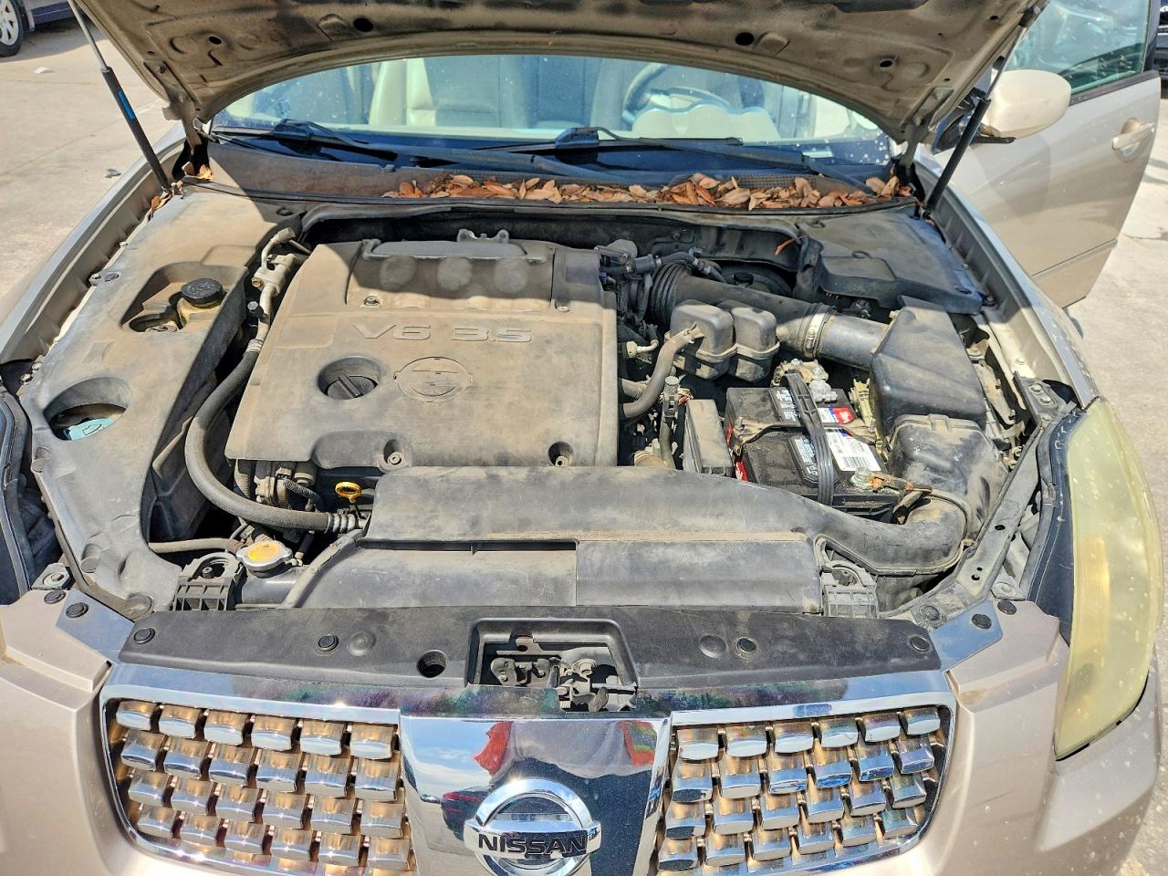 2005 Nissan Maxima 3.5 Se Tan vin: 1N4BA41E95C823903