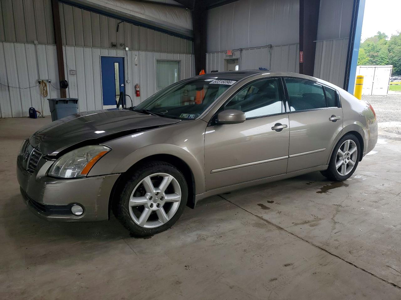 2005 Nissan Maxima 3.5 Se Tan vin: 1N4BA41E95C832875
