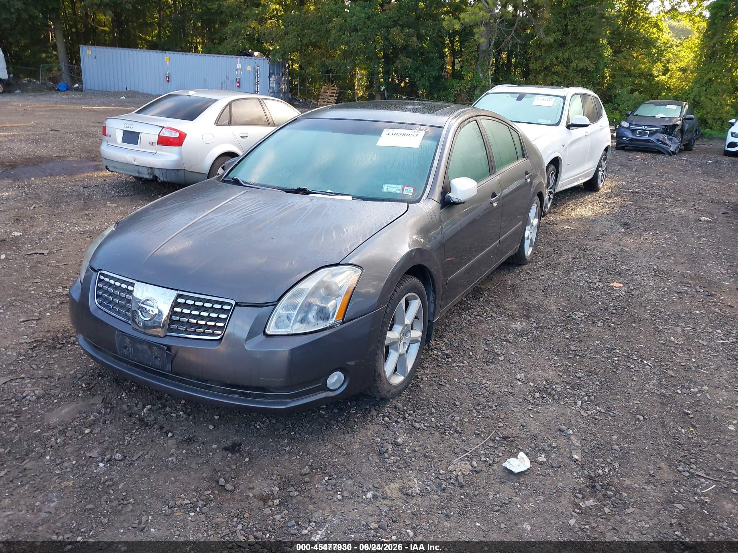 2005 Nissan Maxima 3.5 Se Beige vin: 1N4BA41E95C855556