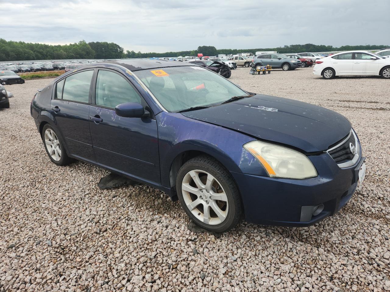2007 Nissan Maxima 3.5 Se Blue vin: 1N4BA41E97C825170
