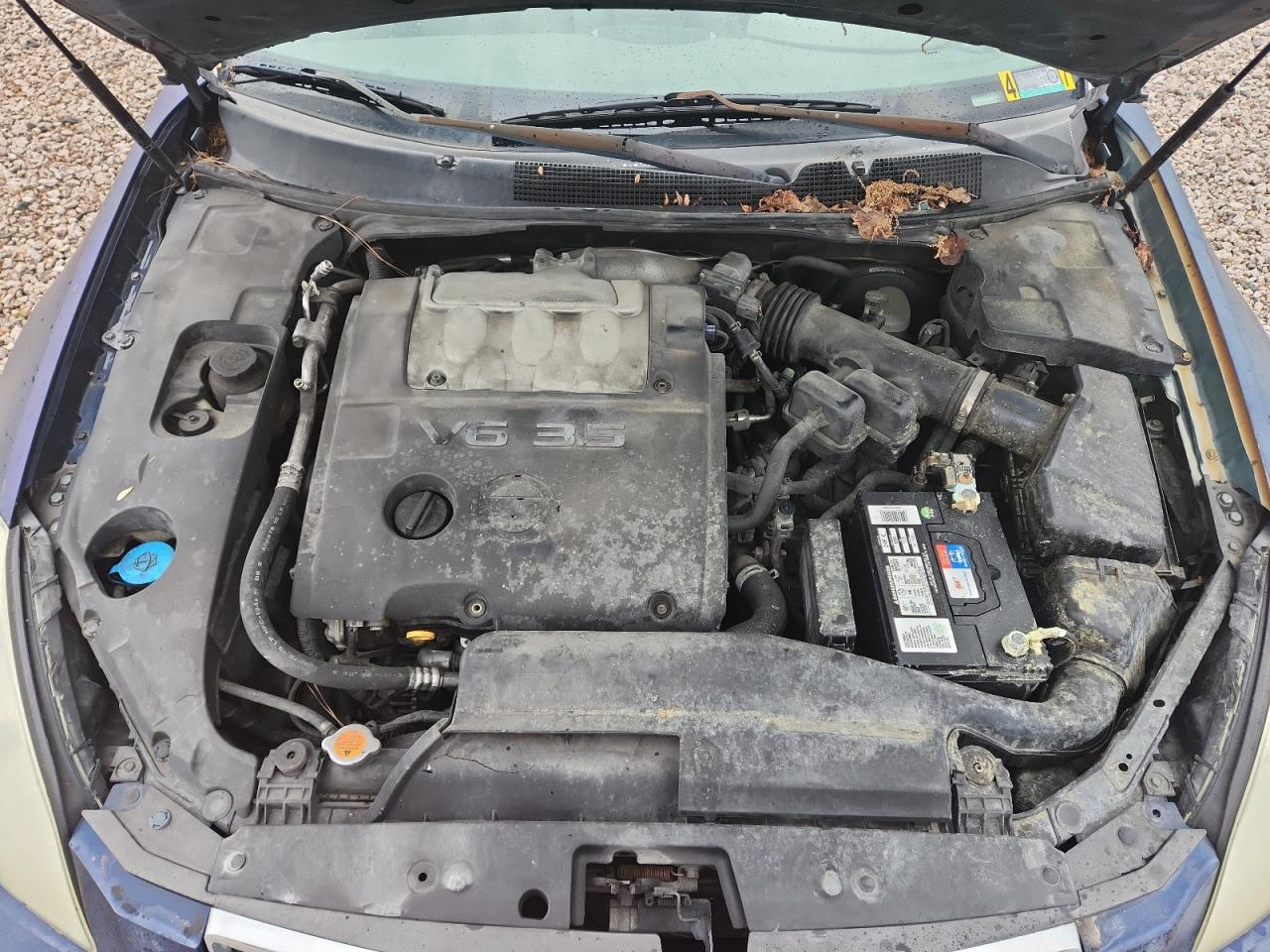 2007 Nissan Maxima 3.5 Se Blue vin: 1N4BA41E97C825170