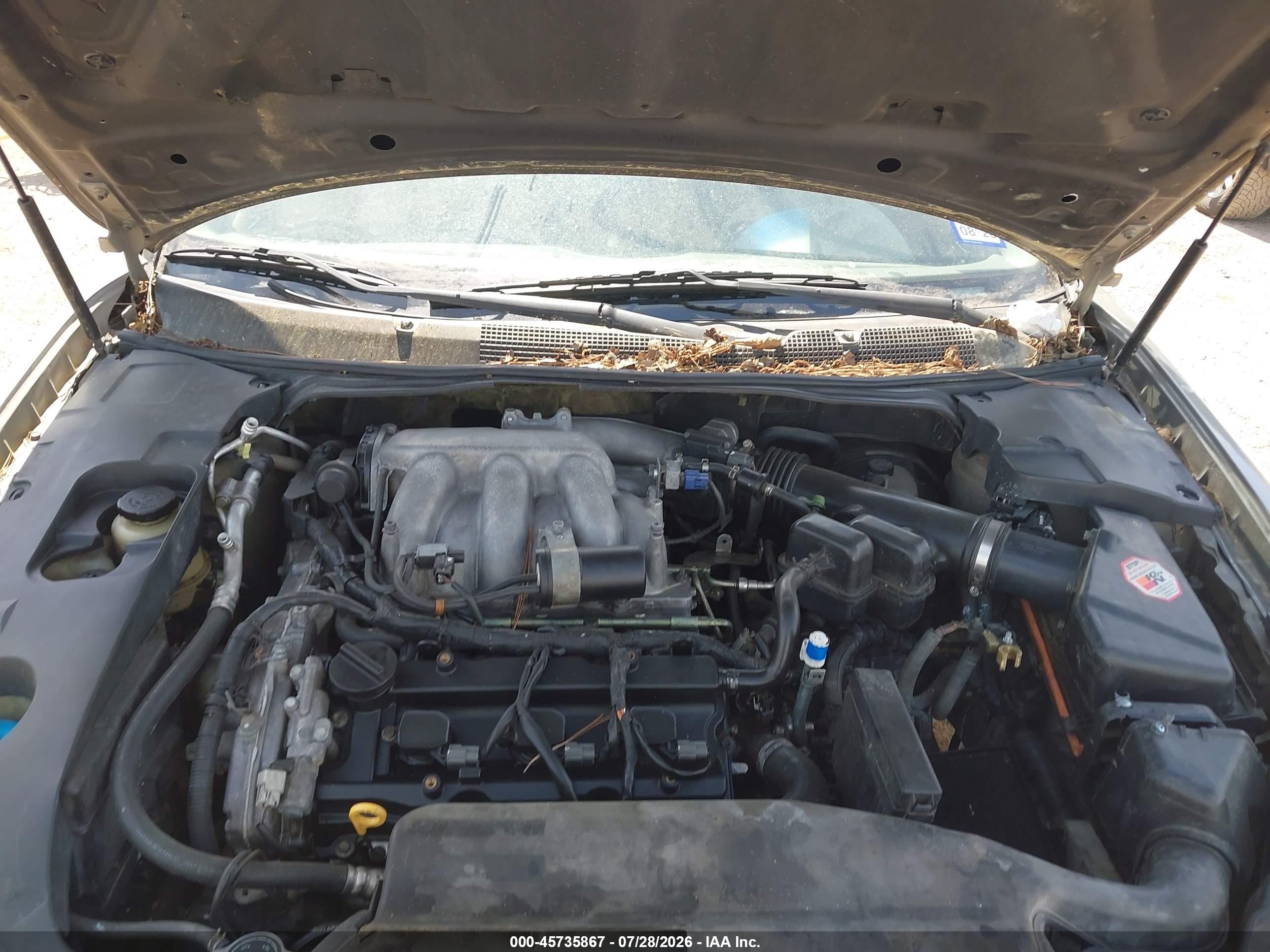 2008 Nissan Maxima 3.5 Se Champagne vin: 1N4BA41E98C803509