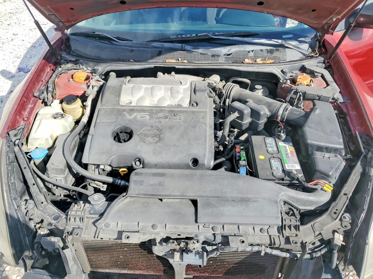 2008 Nissan Maxima 3.5 Se Red vin: 1N4BA41E98C832704