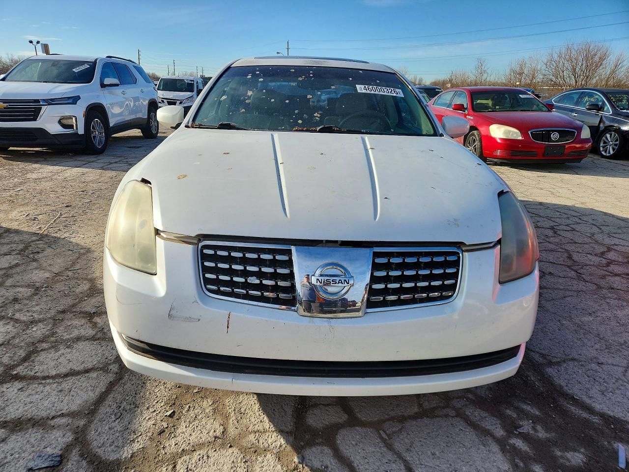 2004 Nissan Maxima 3.5 Se Белый vin: 1N4BA41EX4C859713
