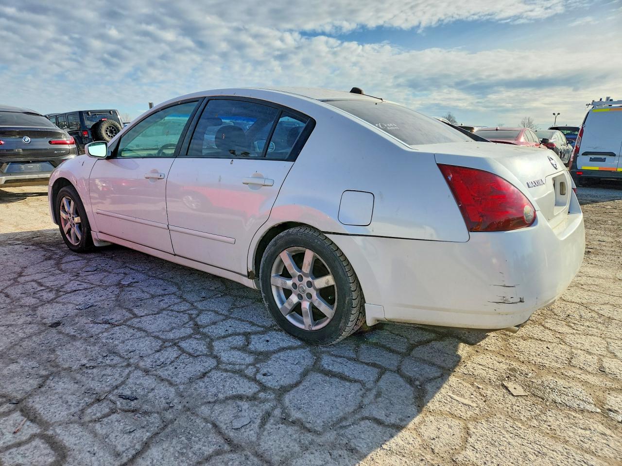 2004 Nissan Maxima 3.5 Se Белый vin: 1N4BA41EX4C859713