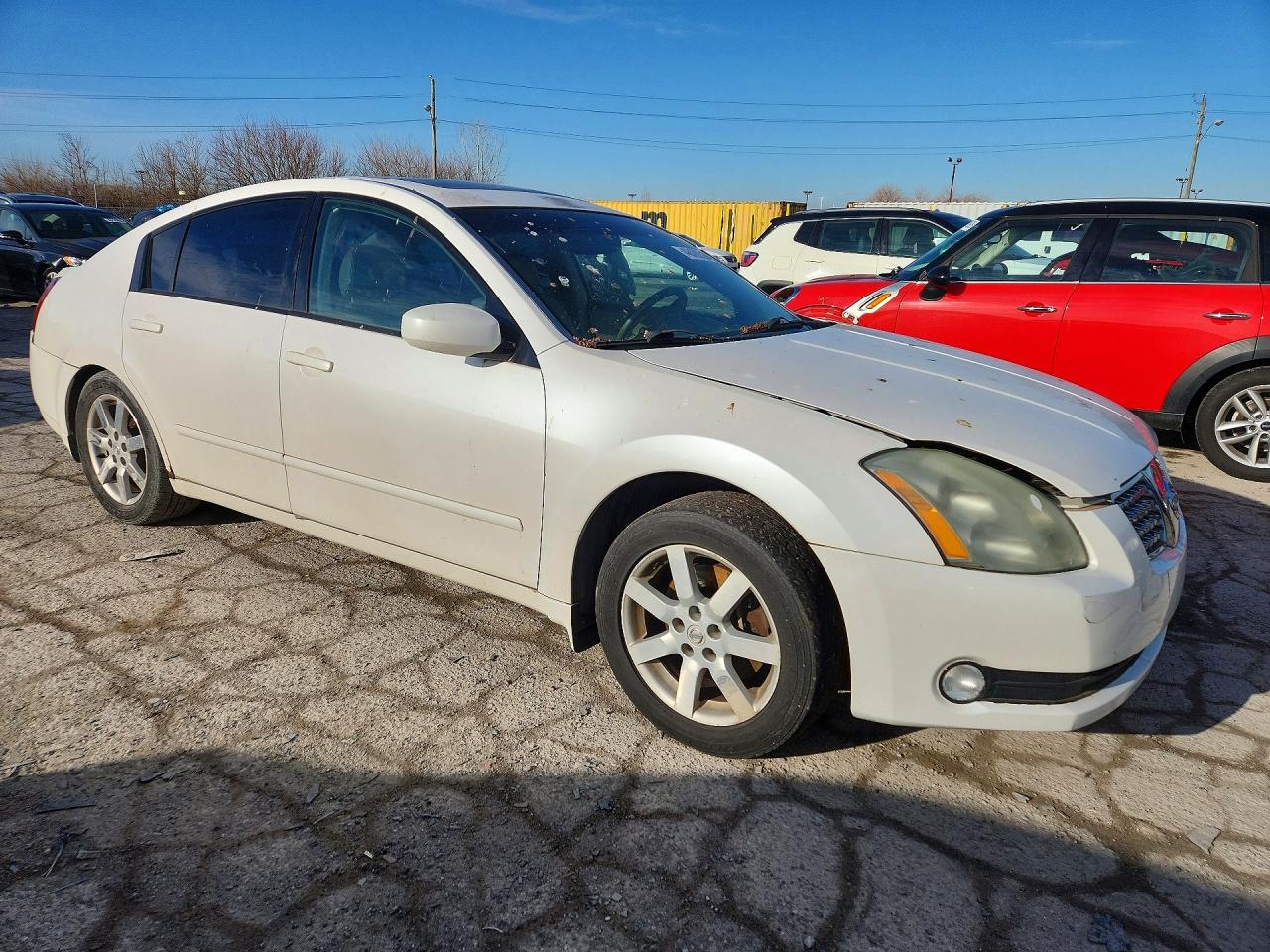2004 Nissan Maxima 3.5 Se Белый vin: 1N4BA41EX4C859713
