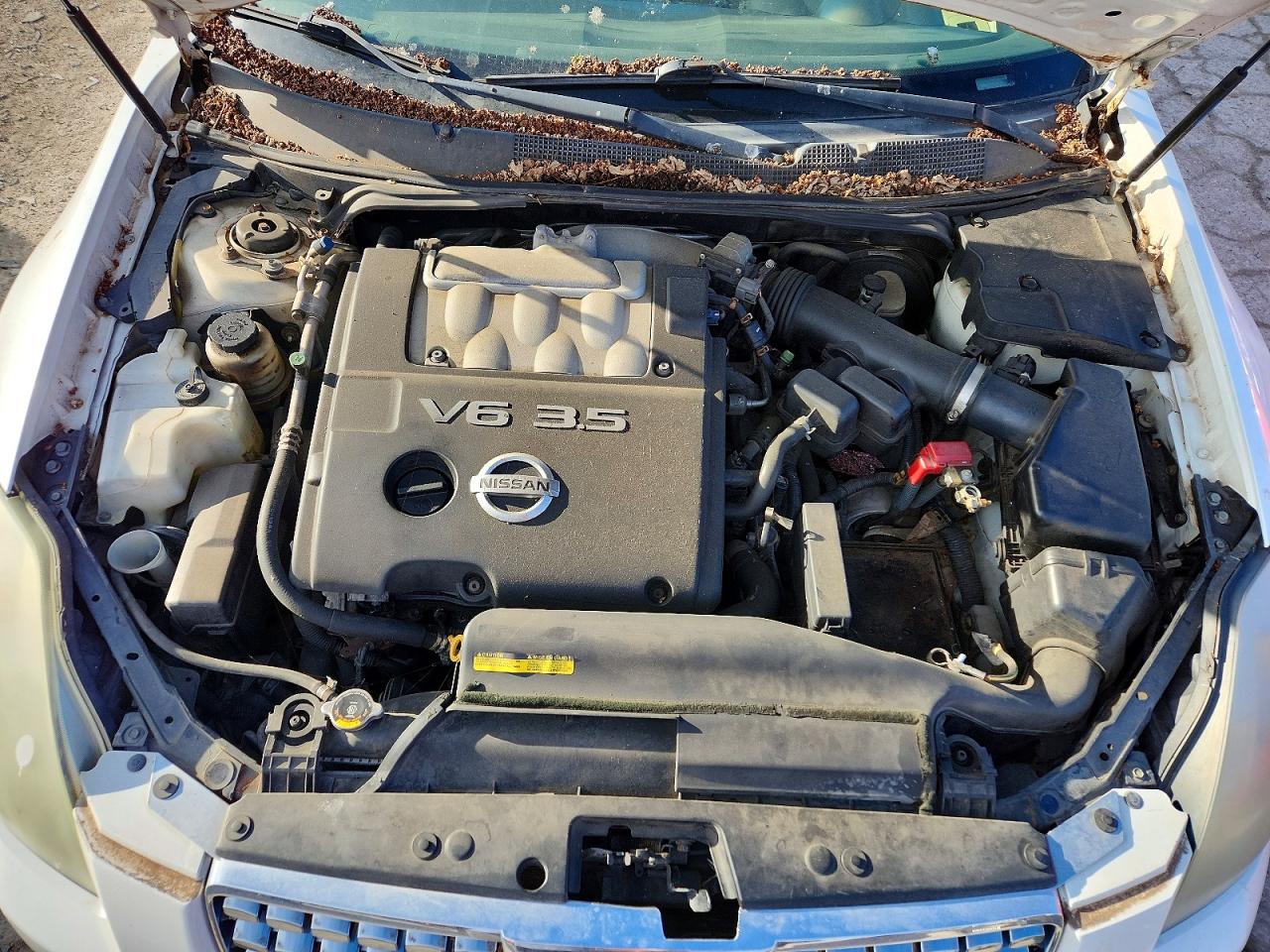 2004 Nissan Maxima 3.5 Se Белый vin: 1N4BA41EX4C859713