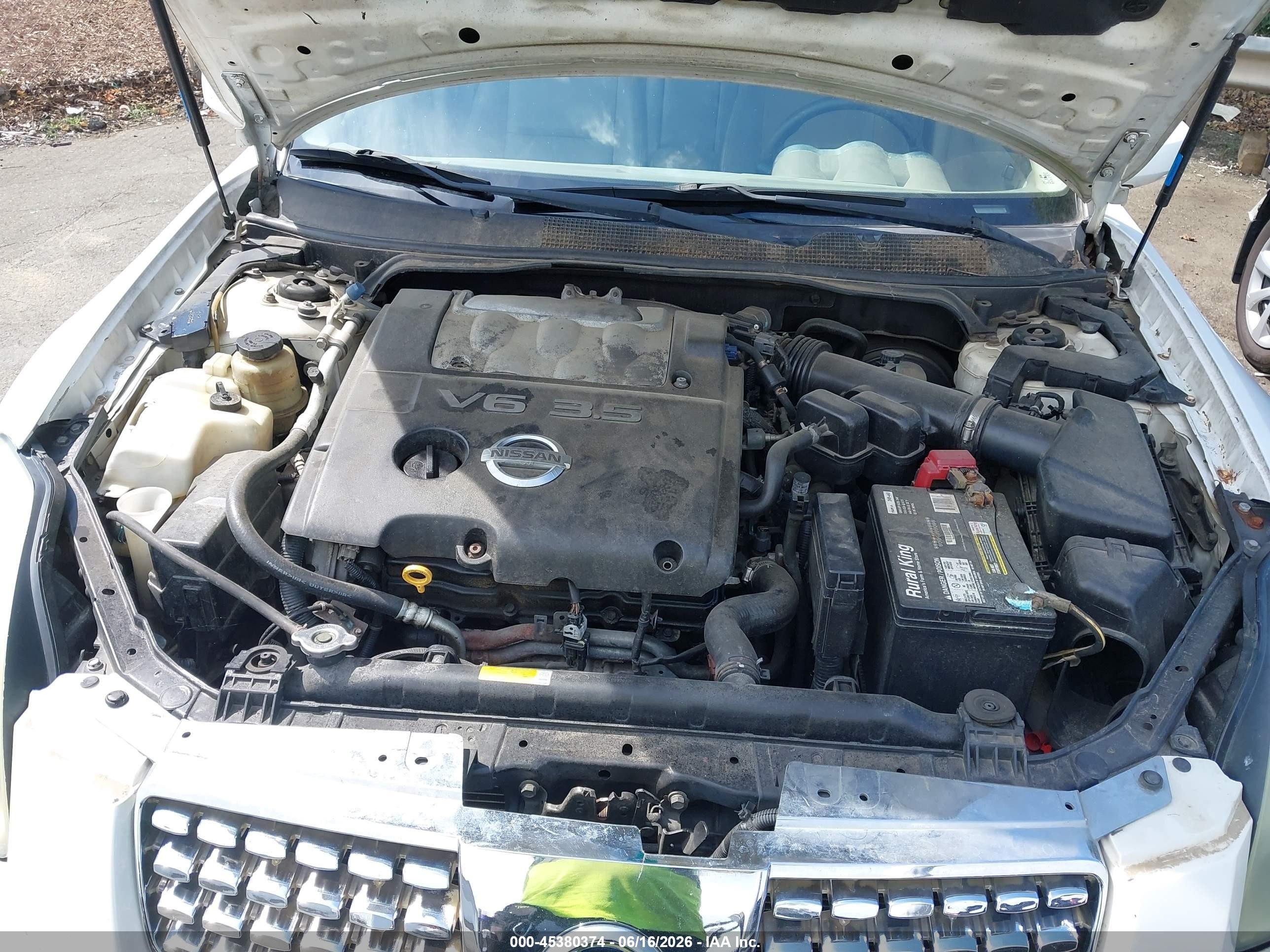 2004 Nissan Maxima 3.5 Se Белый vin: 1N4BA41EX4C866290