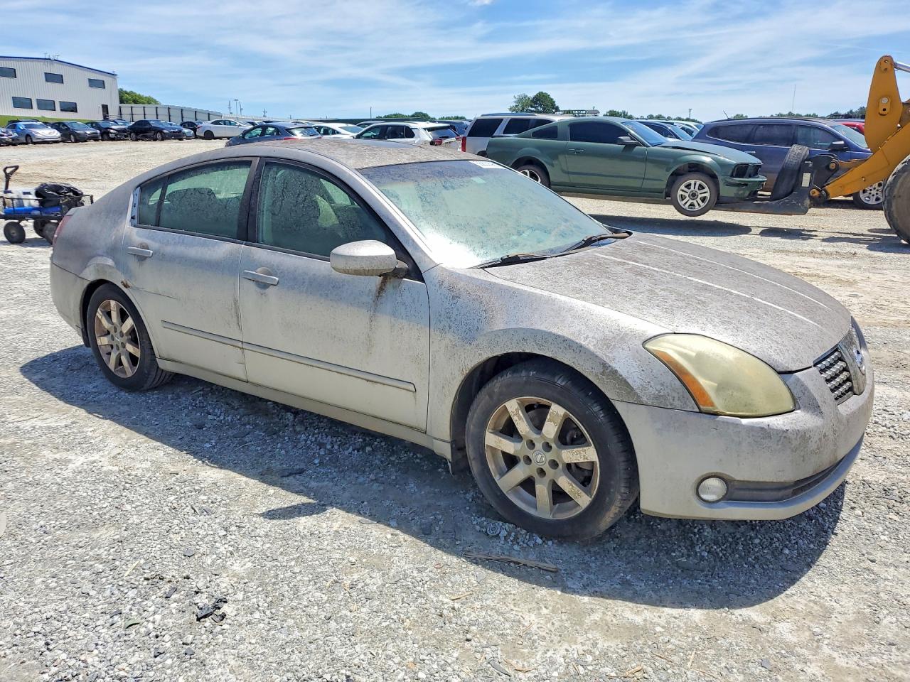2004 Nissan Maxima 3.5 Se Gray vin: 1N4BA41EX4C907016