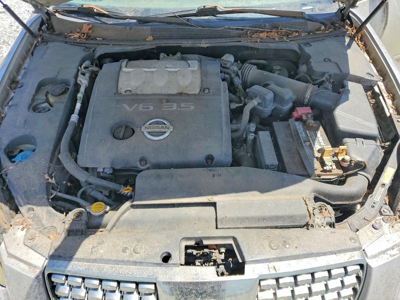 2004 Nissan Maxima 3.5 Se Gray vin: 1N4BA41EX4C907016