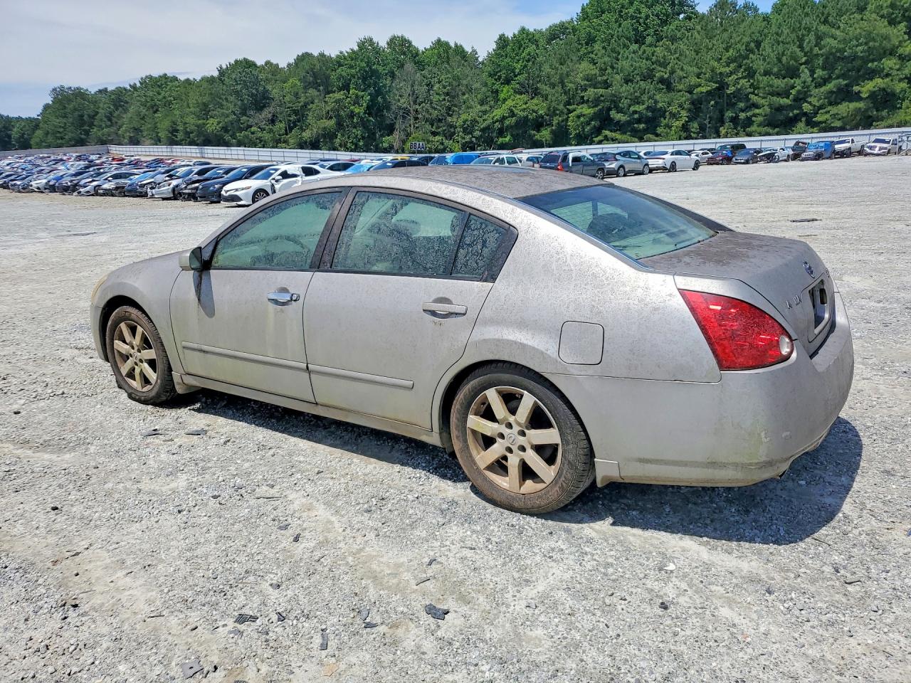 2004 Nissan Maxima 3.5 Se Gray vin: 1N4BA41EX4C907016