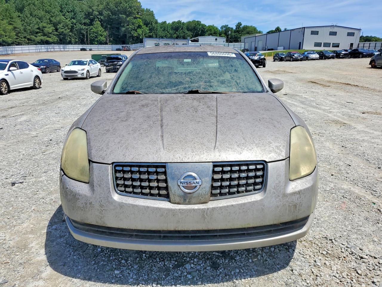 2004 Nissan Maxima 3.5 Se Gray vin: 1N4BA41EX4C907016