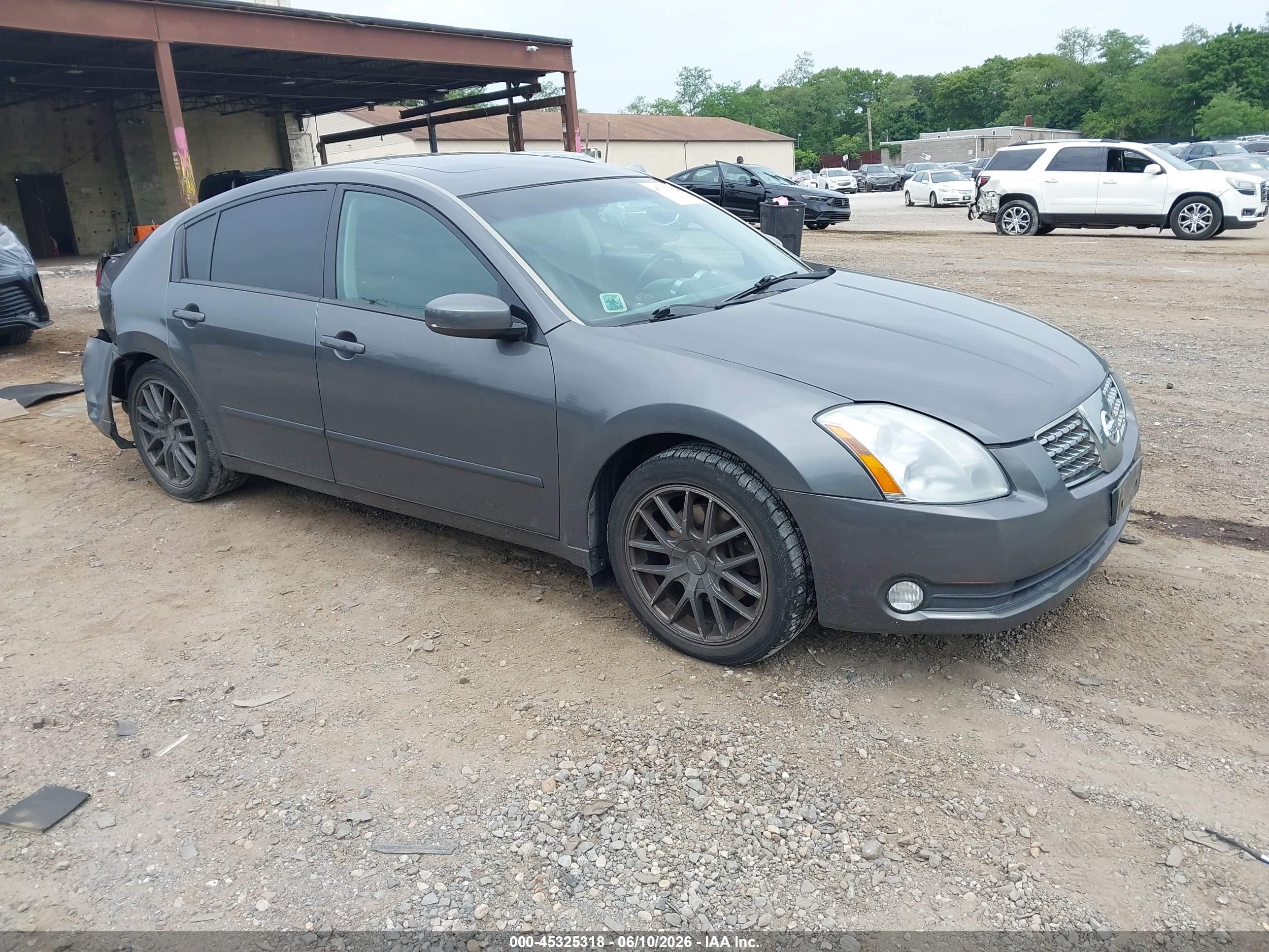 2005 Nissan Maxima 3.5 Sl Серый vin: 1N4BA41EX5C829600