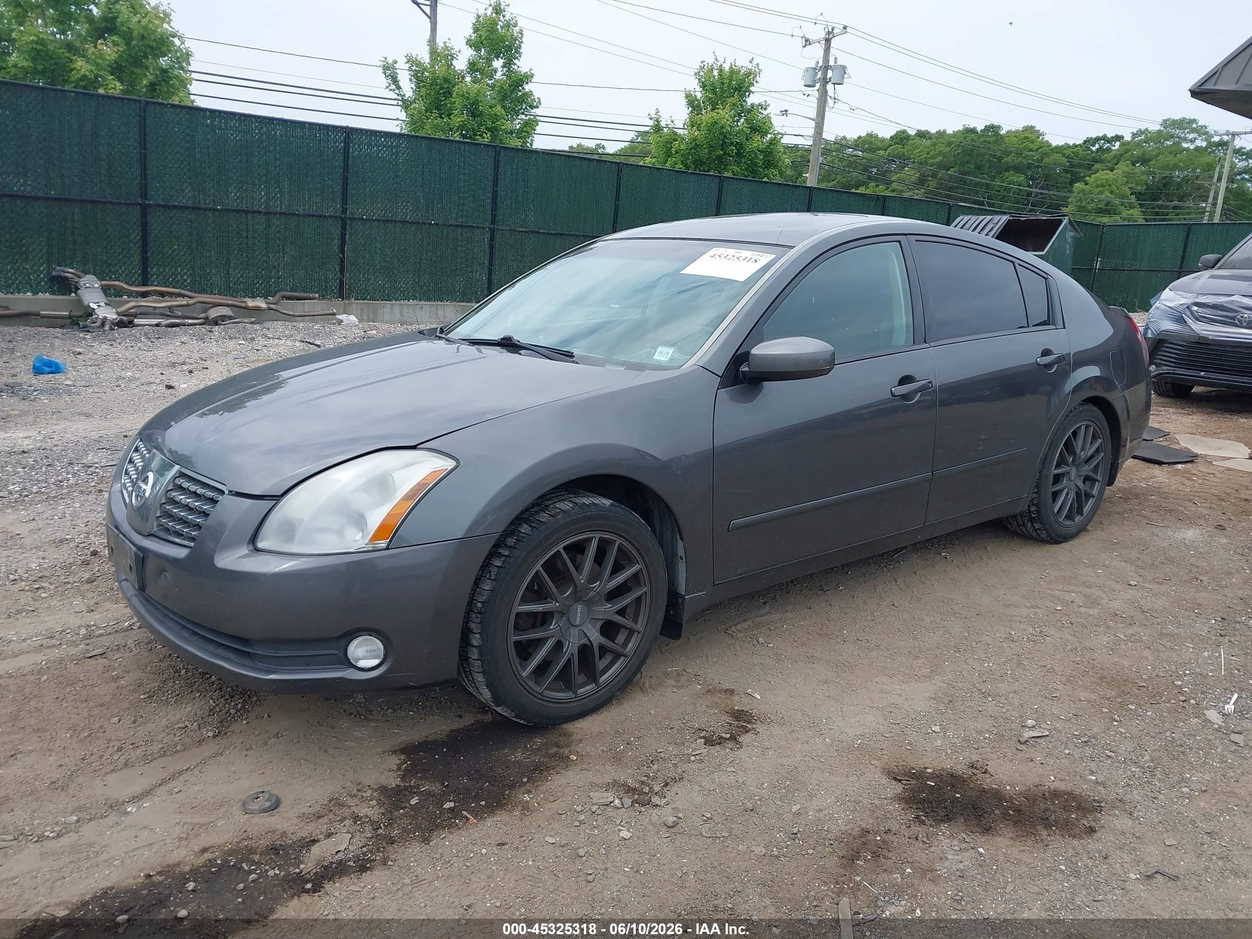 2005 Nissan Maxima 3.5 Sl Серый vin: 1N4BA41EX5C829600