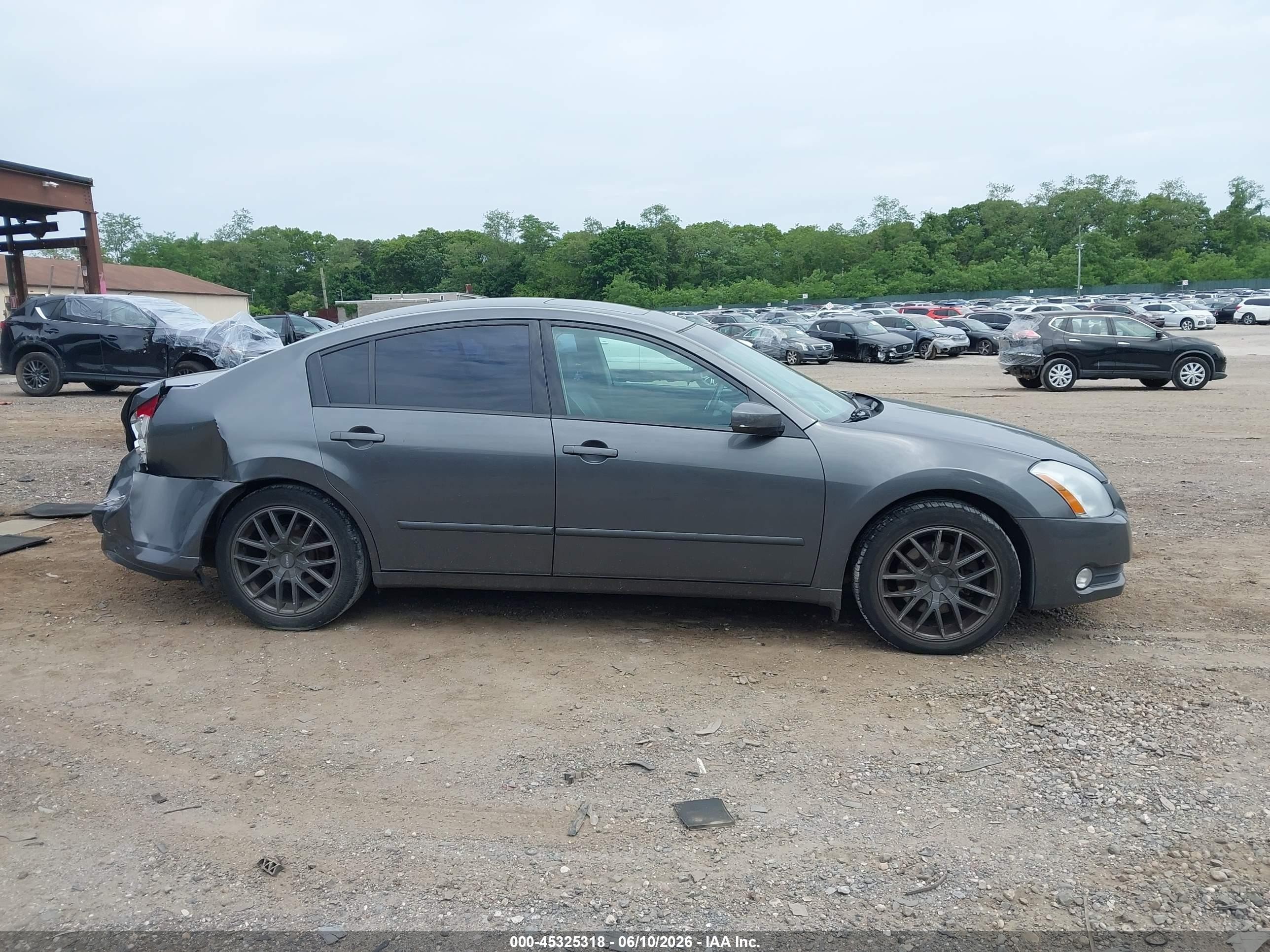 2005 Nissan Maxima 3.5 Sl Серый vin: 1N4BA41EX5C829600