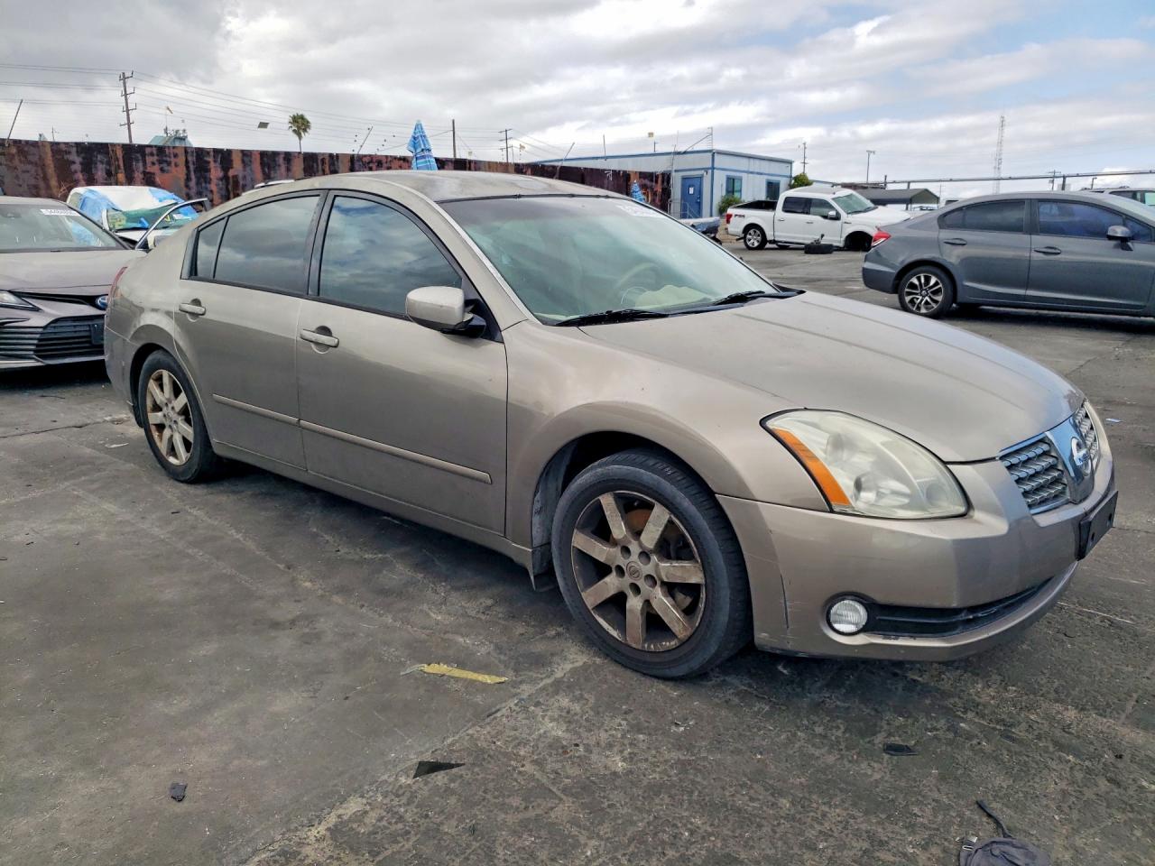 2005 Nissan Maxima 3.5 Se Gold vin: 1N4BA41EX5C850155