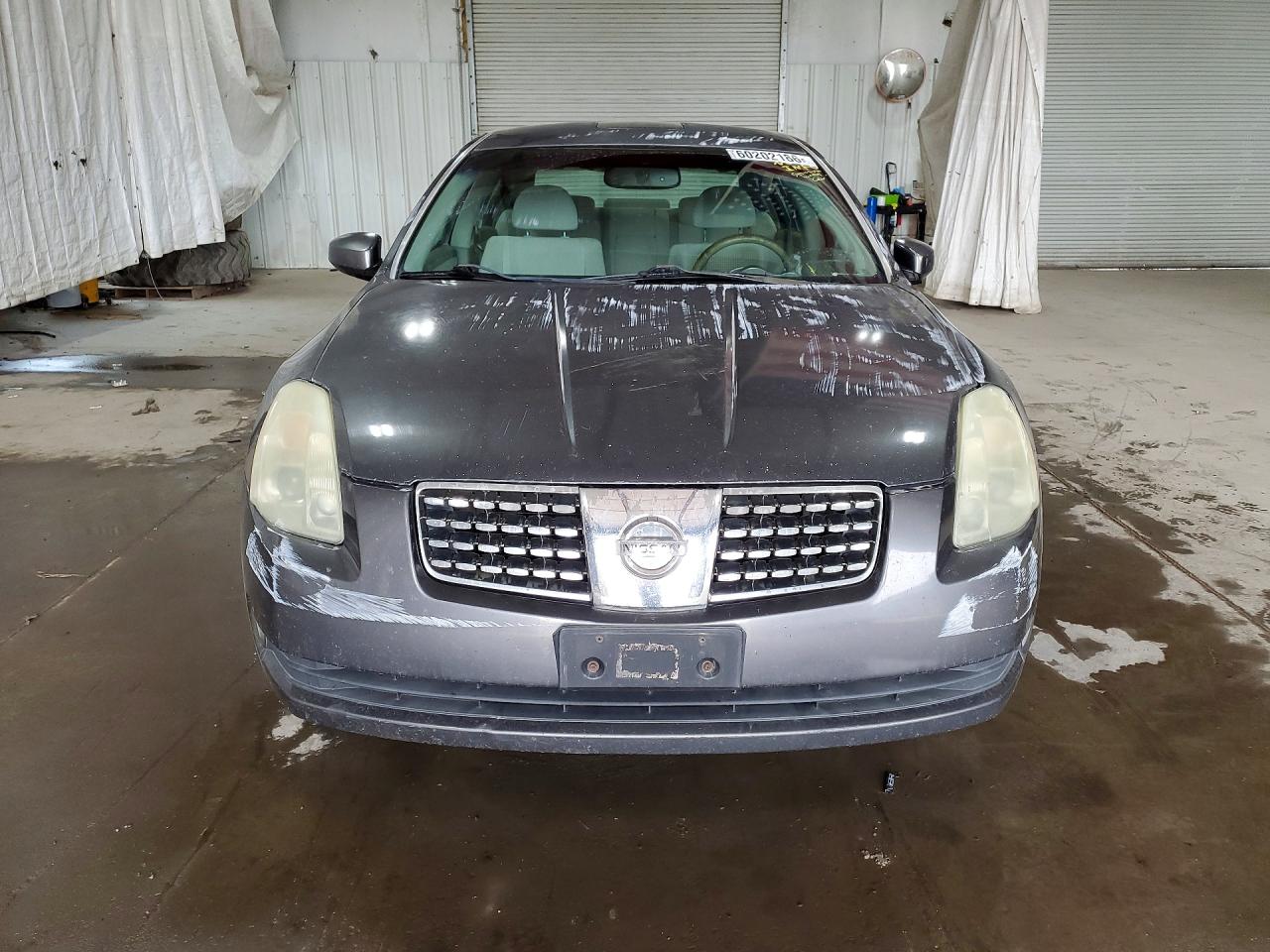 2006 Nissan Maxima Серый vin: 1N4BA41EX6C828447