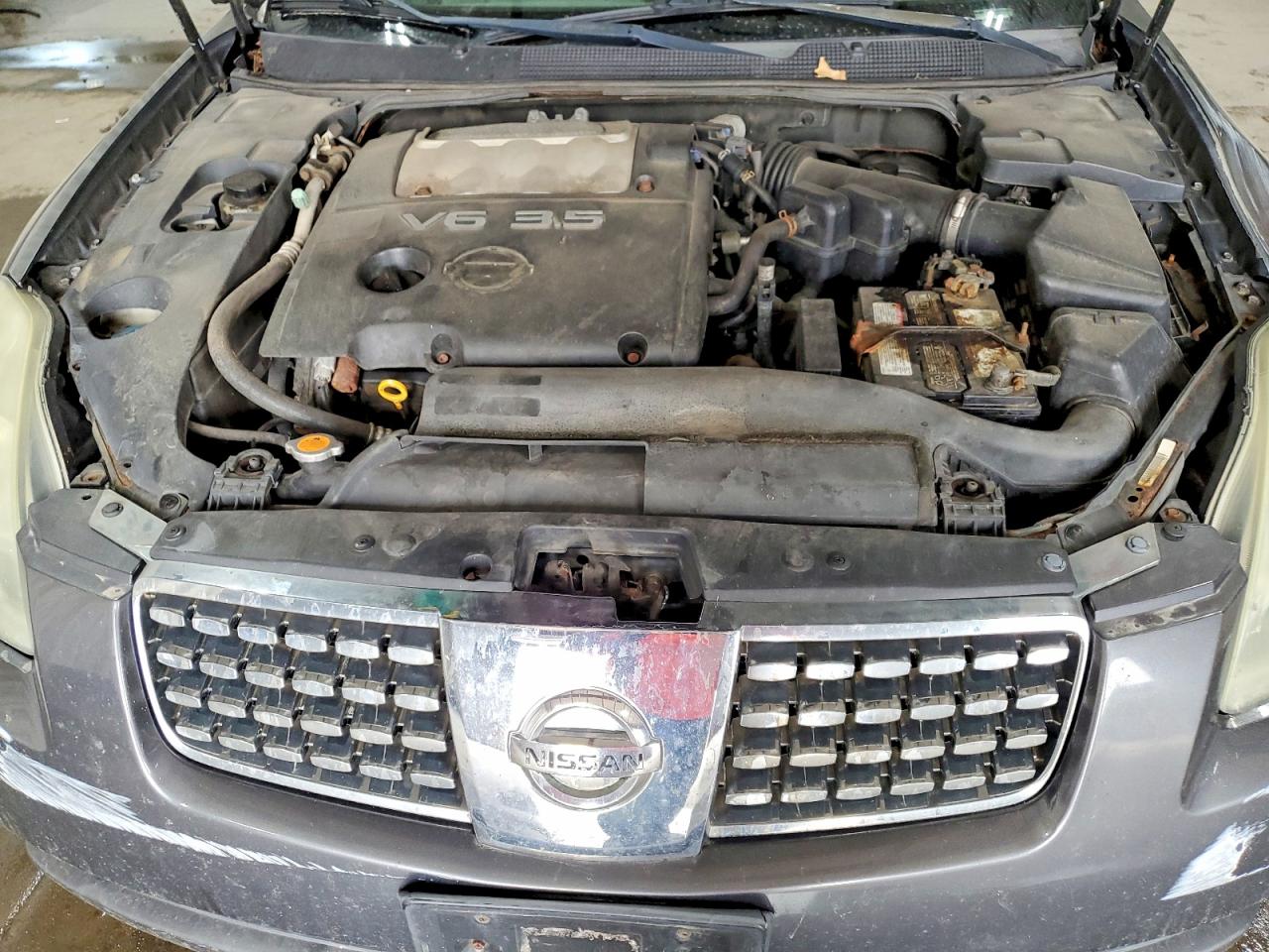 2006 Nissan Maxima Серый vin: 1N4BA41EX6C828447