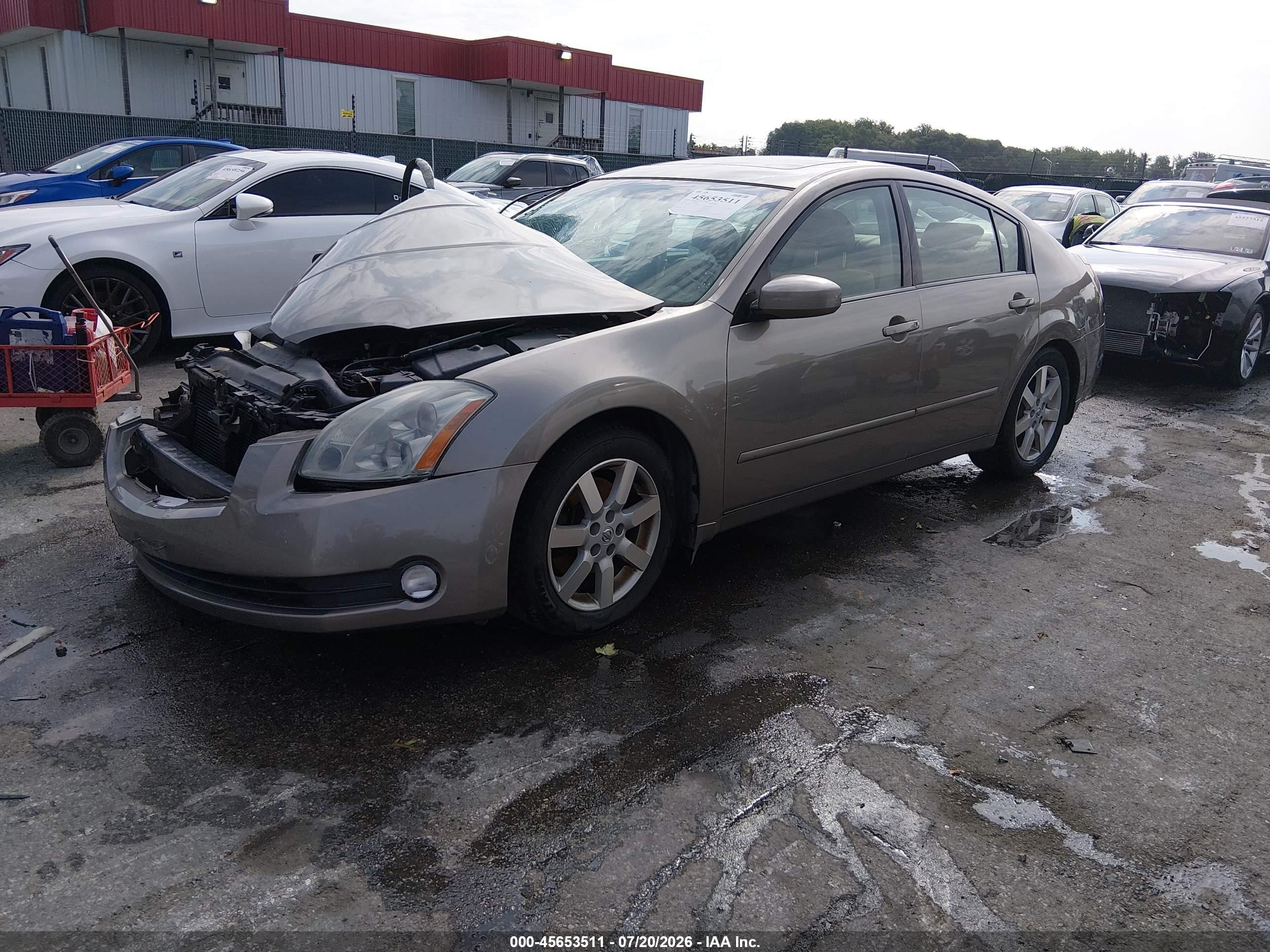 2006 Nissan Maxima 3.5 Sl Gold vin: 1N4BA41EX6C833809
