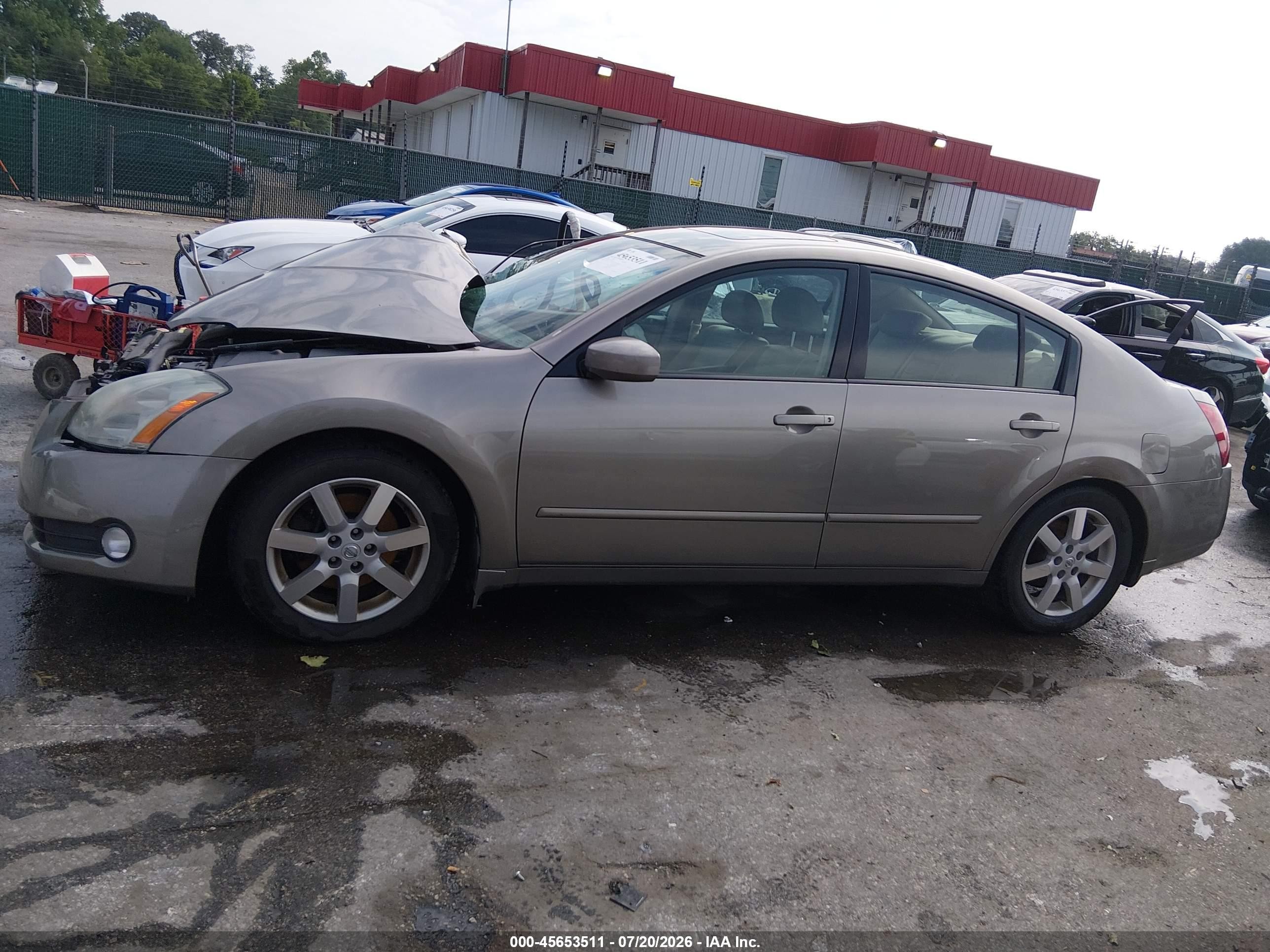 2006 Nissan Maxima 3.5 Sl Gold vin: 1N4BA41EX6C833809