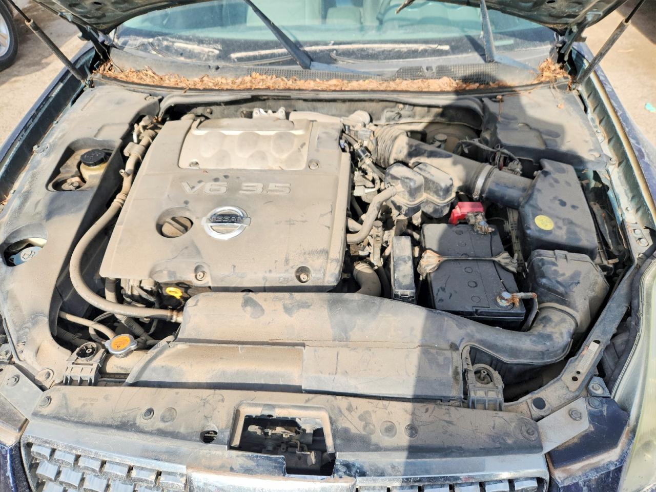 2006 Nissan Maxima 3.5 Se Blue vin: 1N4BA41EX6C849685