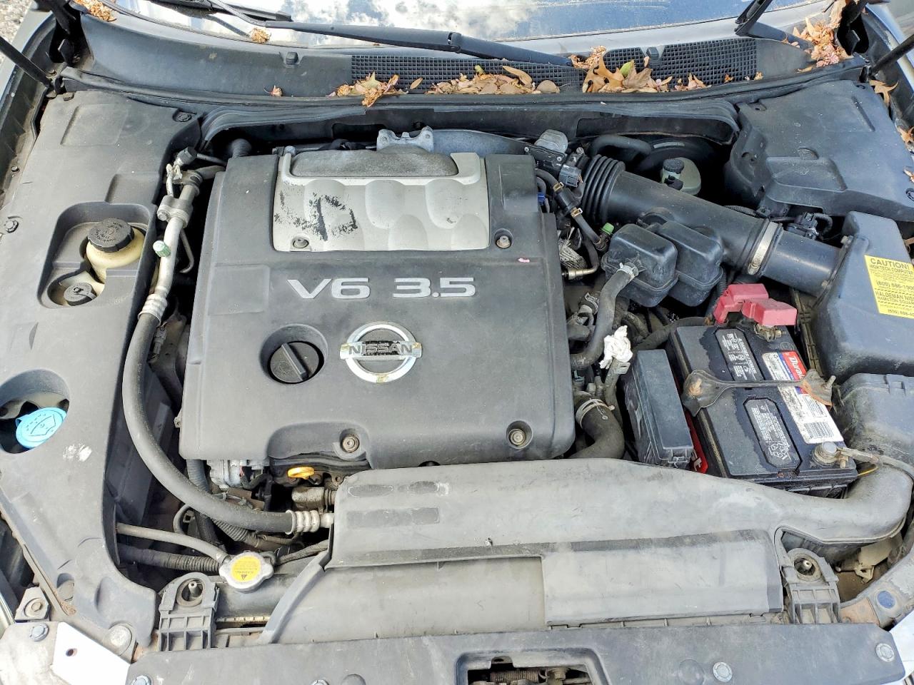 2006 Nissan Maxima 3.5 Se Gray vin: 1N4BA41EX6C852909