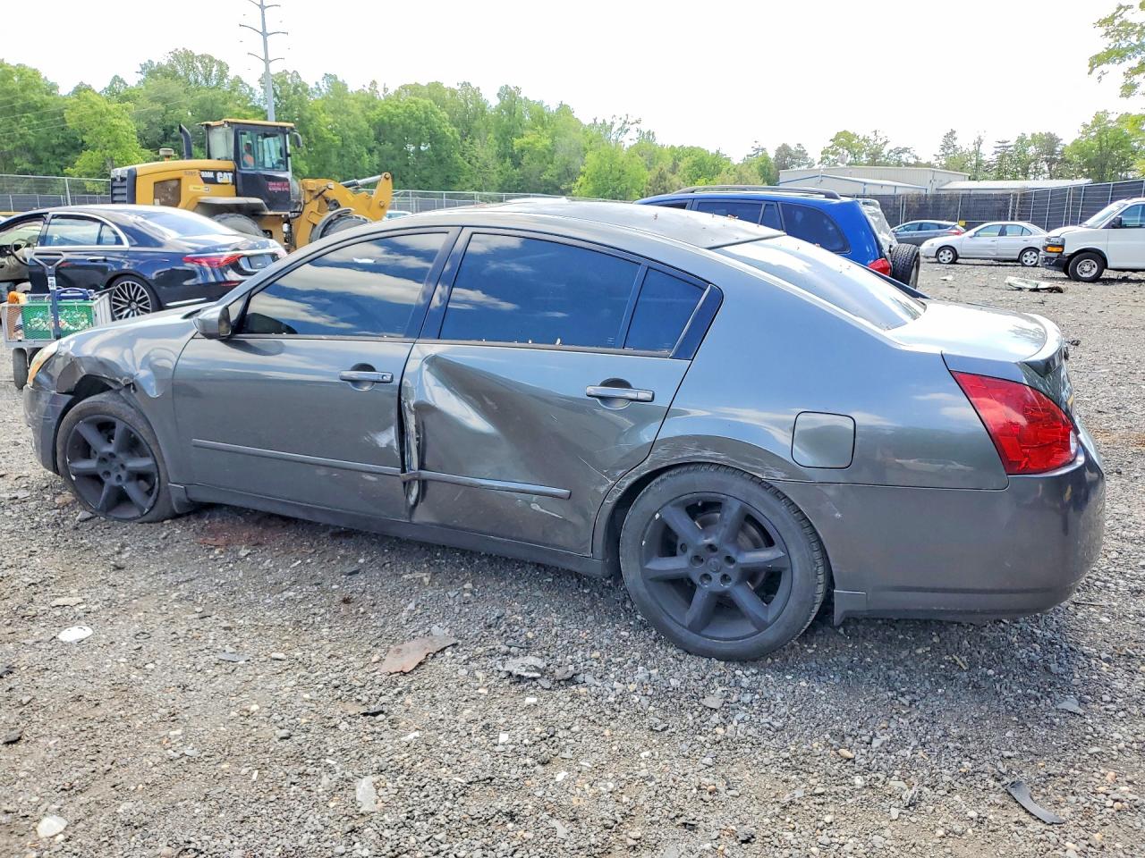2006 Nissan Maxima 3.5 Se Gray vin: 1N4BA41EX6C852909