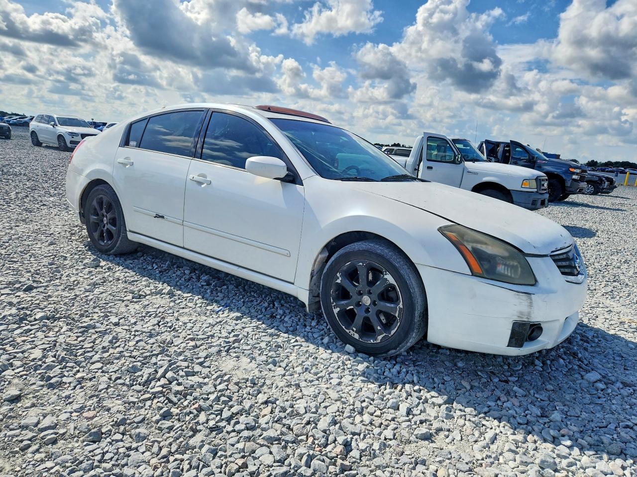 2008 Nissan Maxima 3.5 Se White vin: 1N4BA41EX8C804569