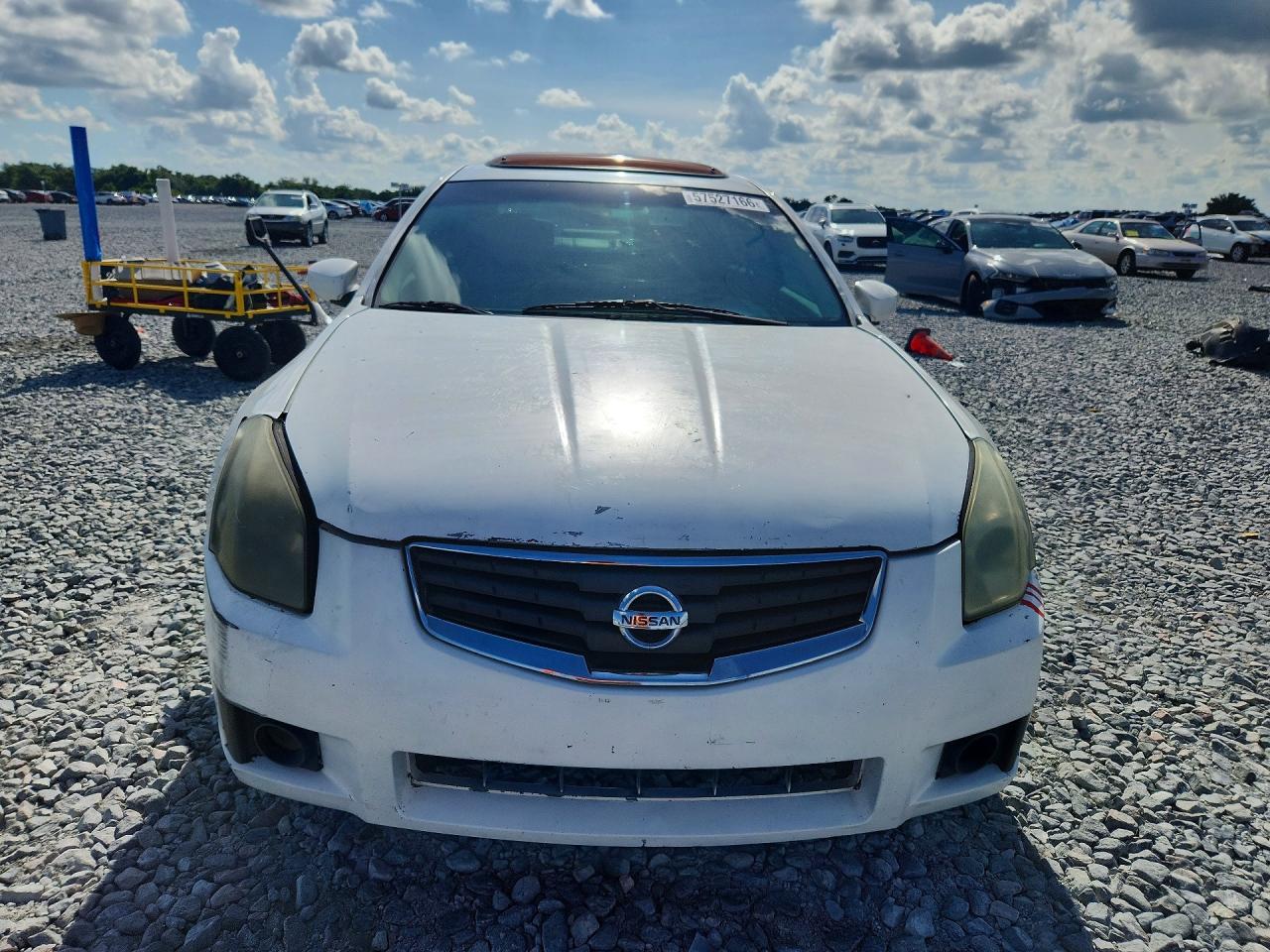 2008 Nissan Maxima 3.5 Se White vin: 1N4BA41EX8C804569