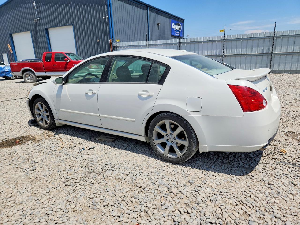 2008 Nissan Maxima 3.5 Se White vin: 1N4BA41EX8C820349