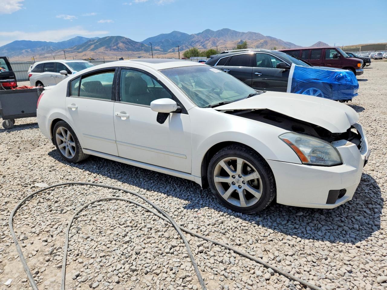 2008 Nissan Maxima 3.5 Se White vin: 1N4BA41EX8C820349