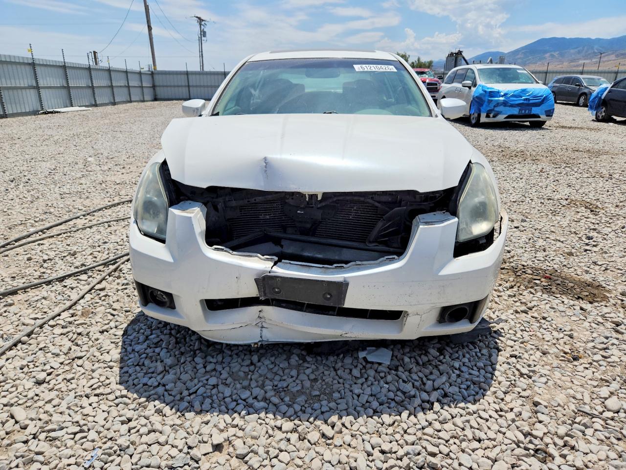 2008 Nissan Maxima 3.5 Se White vin: 1N4BA41EX8C820349