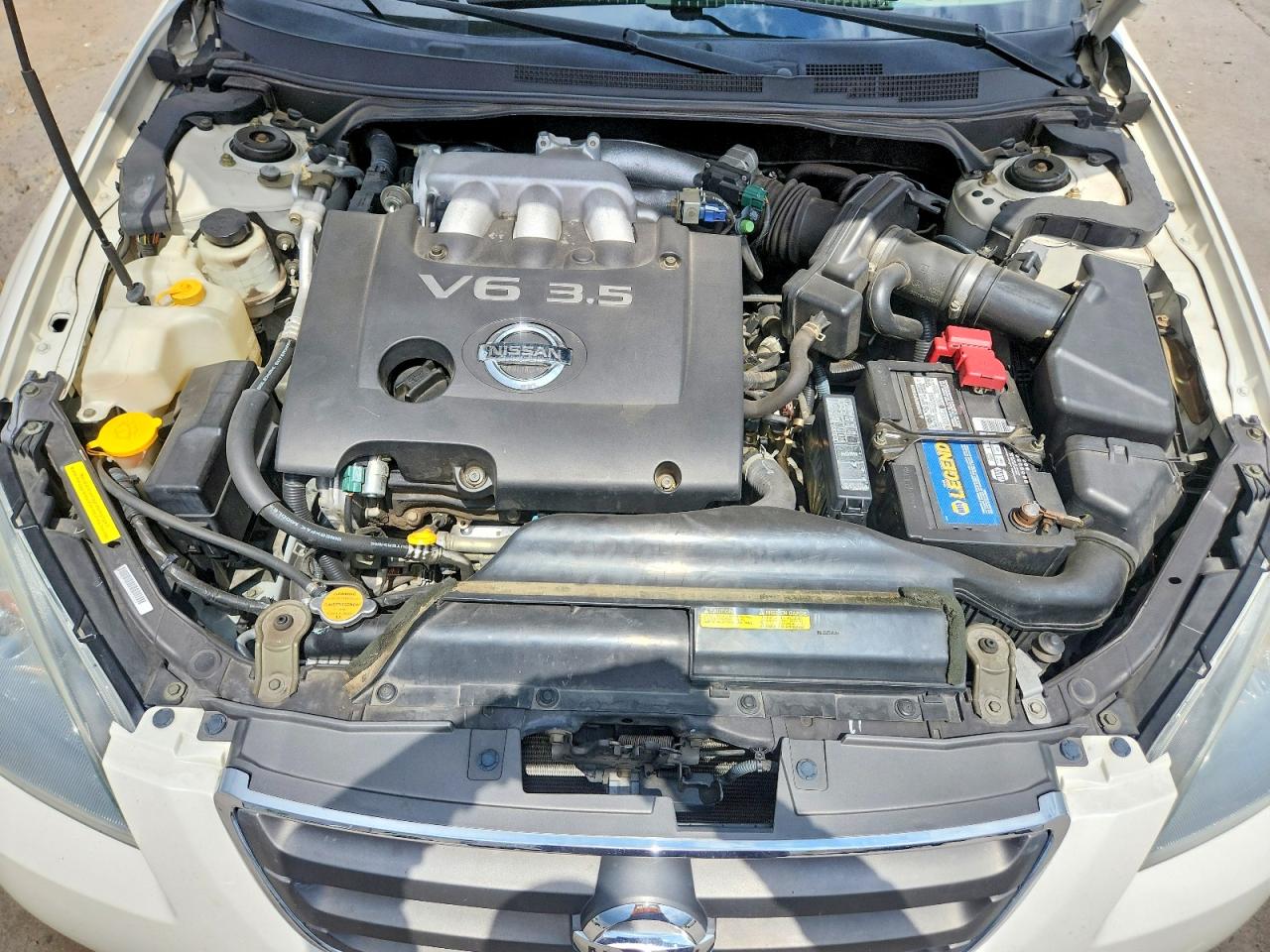 2002 Nissan Altima 3.5 Se White vin: 1N4BL11D02C161088