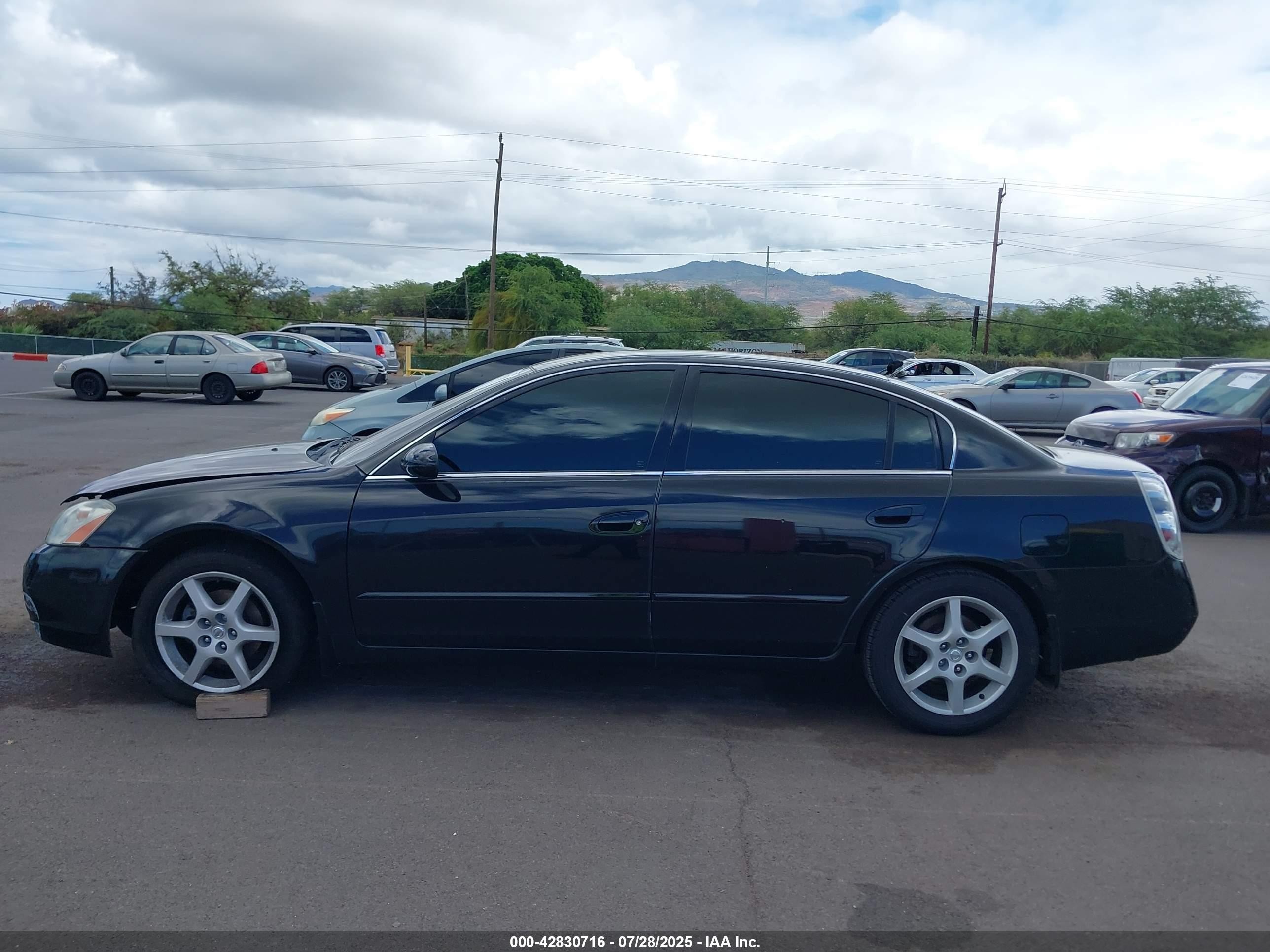 2003 Nissan Altima 3.5 Se Черный vin: 1N4BL11D13C317852