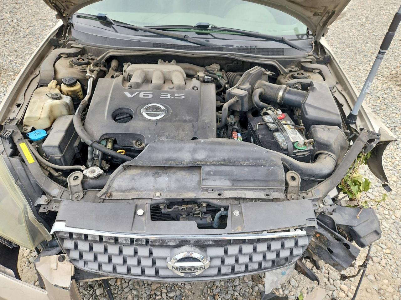 2005 Nissan Altima 3.5 Se Tan vin: 1N4BL11D15C196601