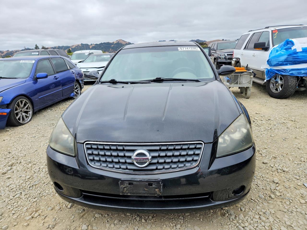 2005 Nissan Altima 3.5 Se Black vin: 1N4BL11D25C250794