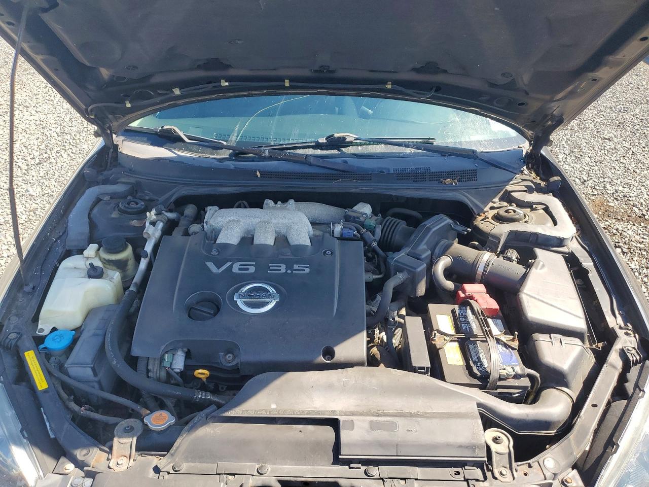 2005 Nissan Altima 3.5 Se Серый vin: 1N4BL11D35C328807